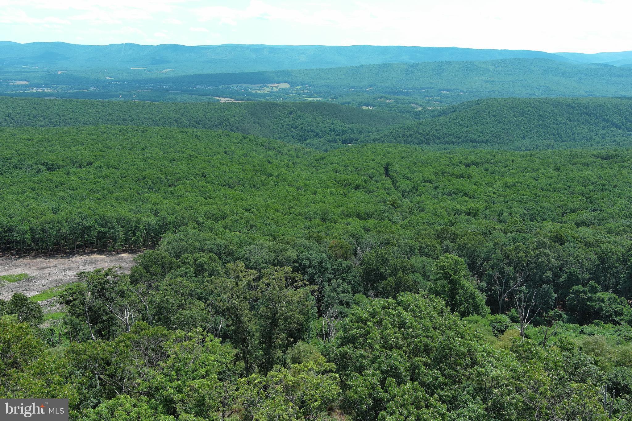 LOST RIVER RIDGE CIRCLE - Land