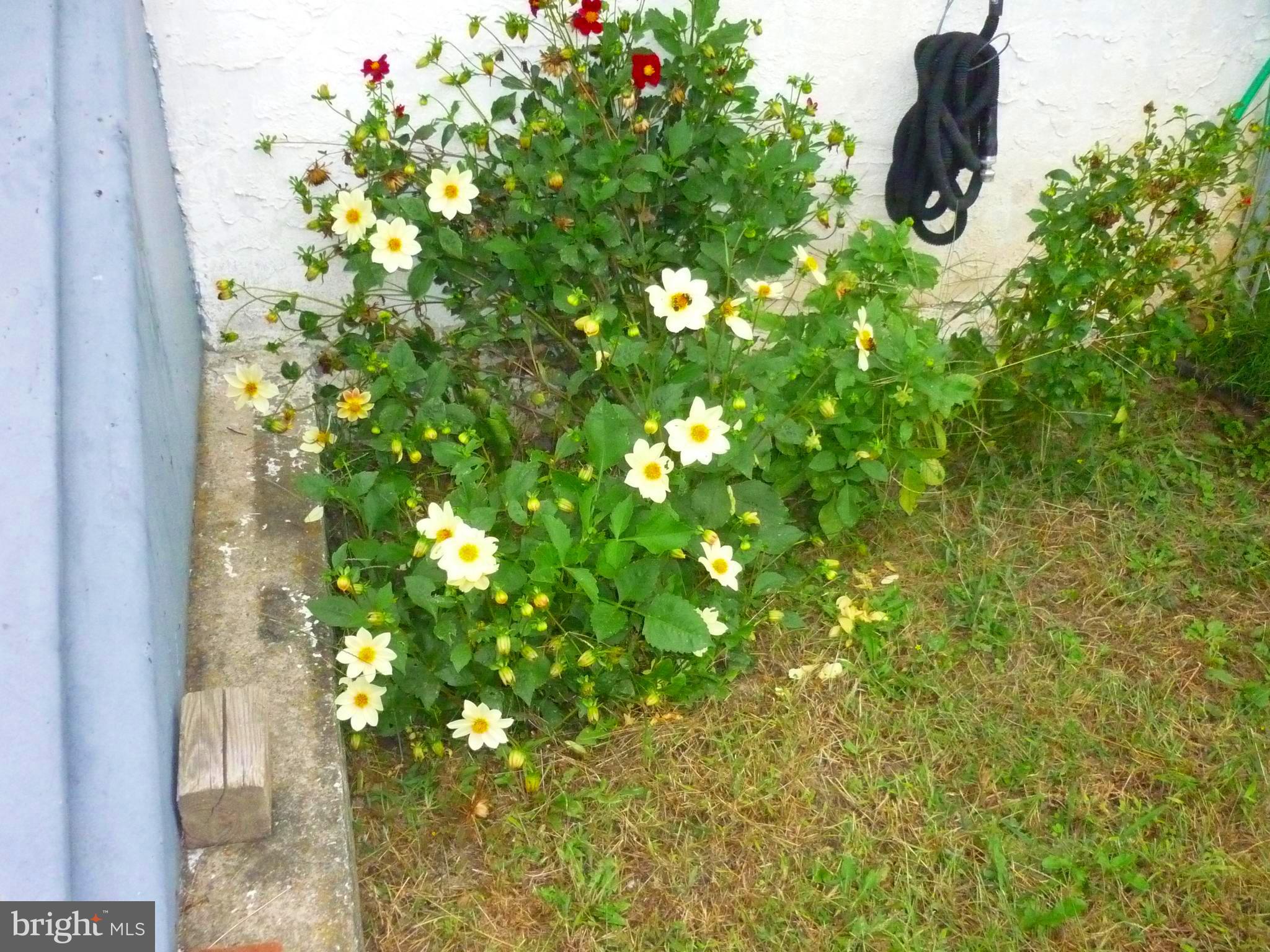 COATESVILLE - Residential