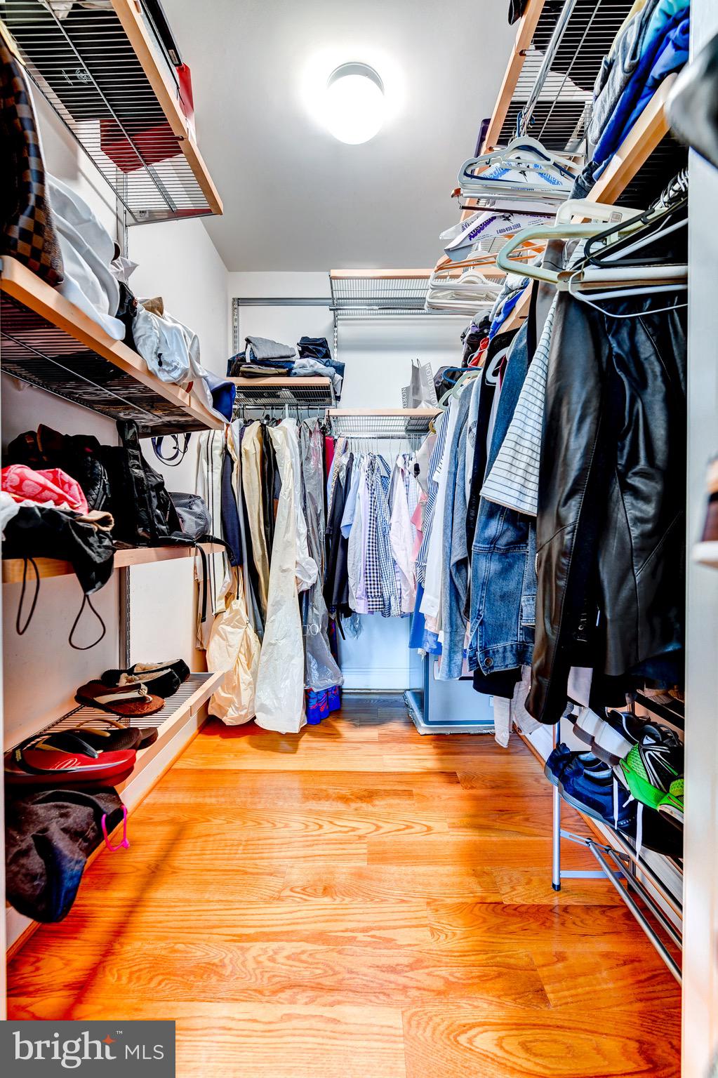 CLARENDON - Residential Lease