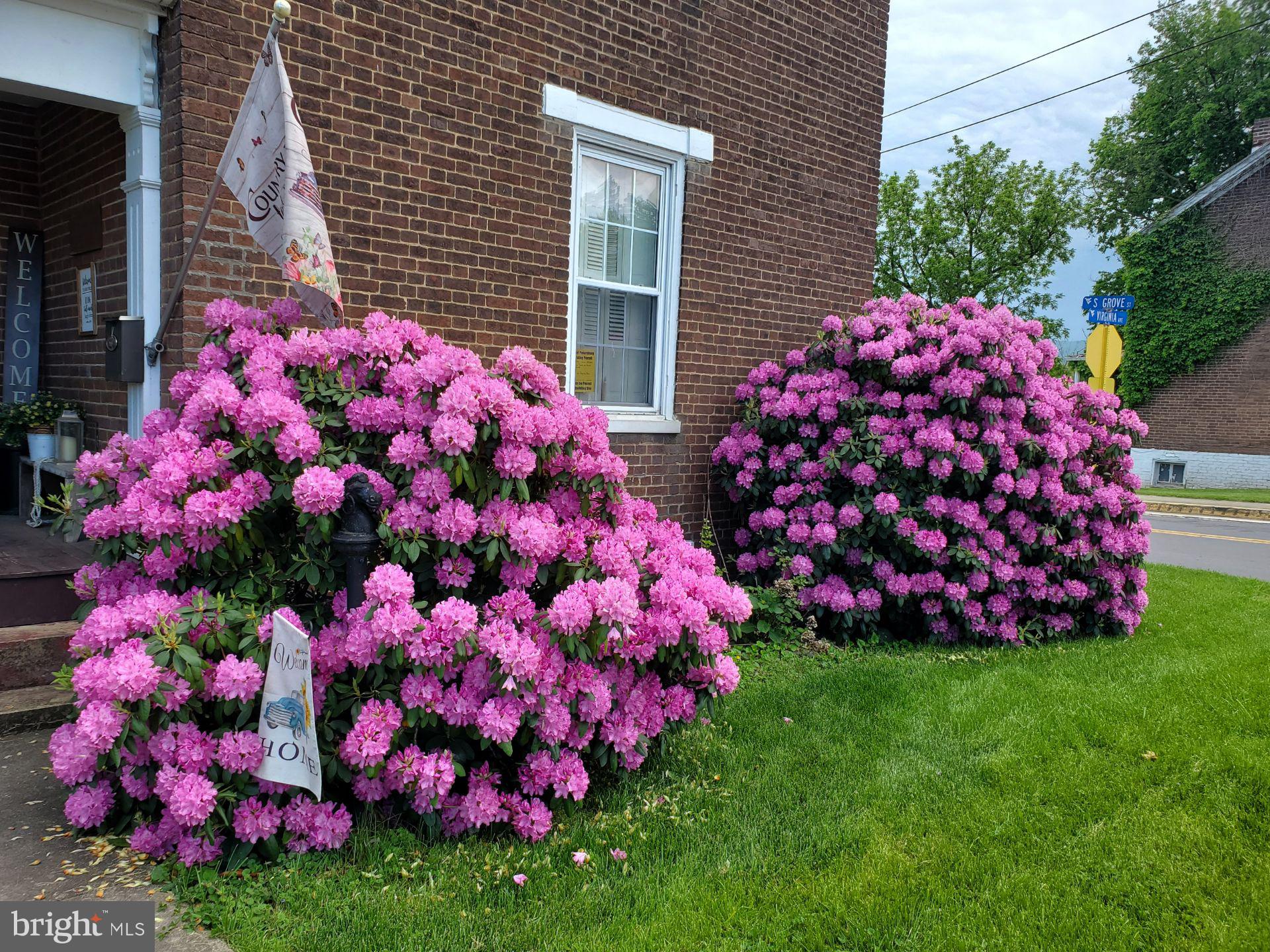 NONE AVAILABLE - Commercial Sale