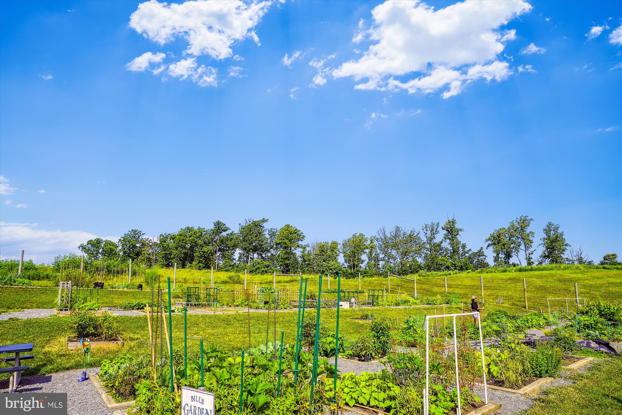 POTOMAC SHORES - Residential