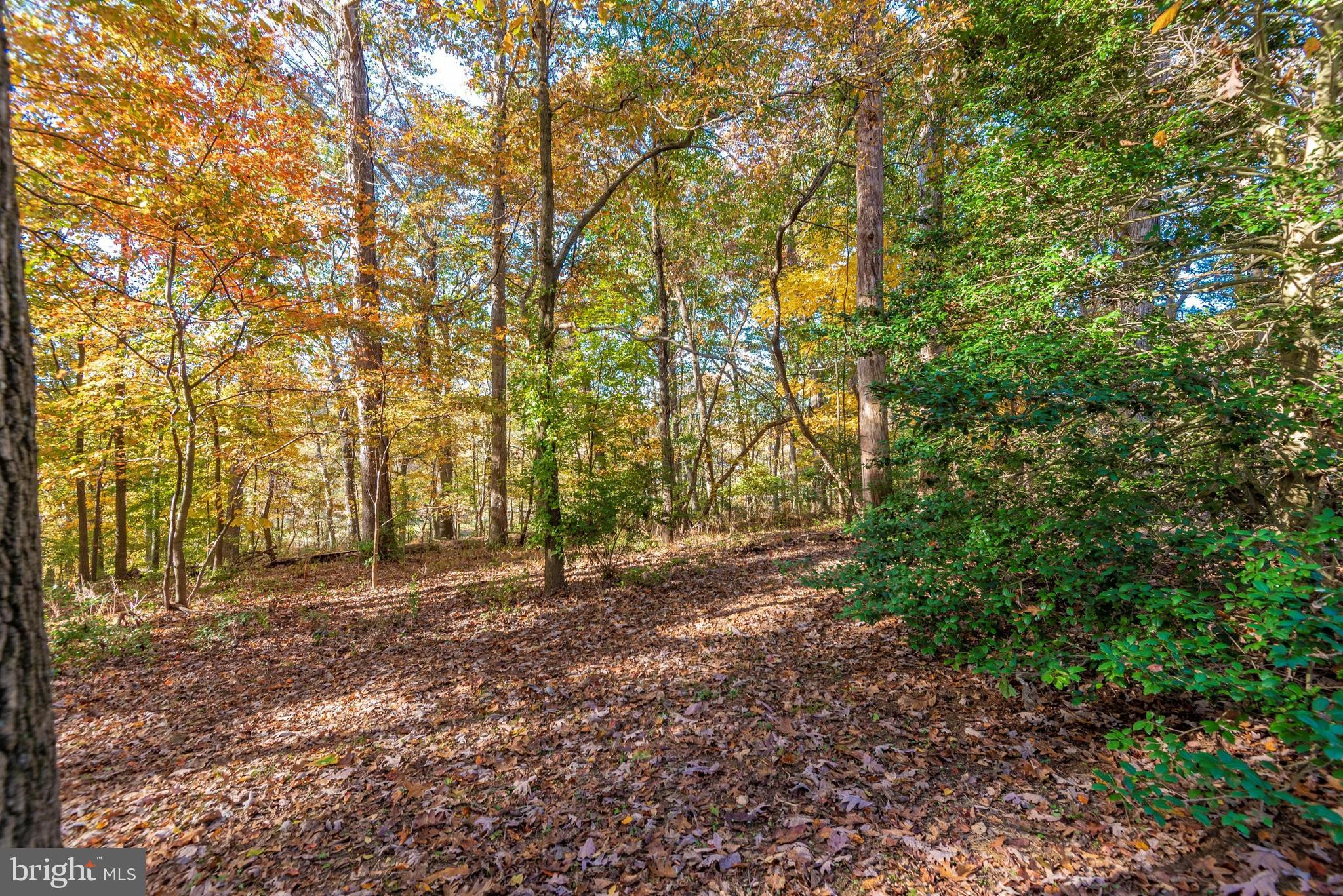 RED OAK HILLS - Residential