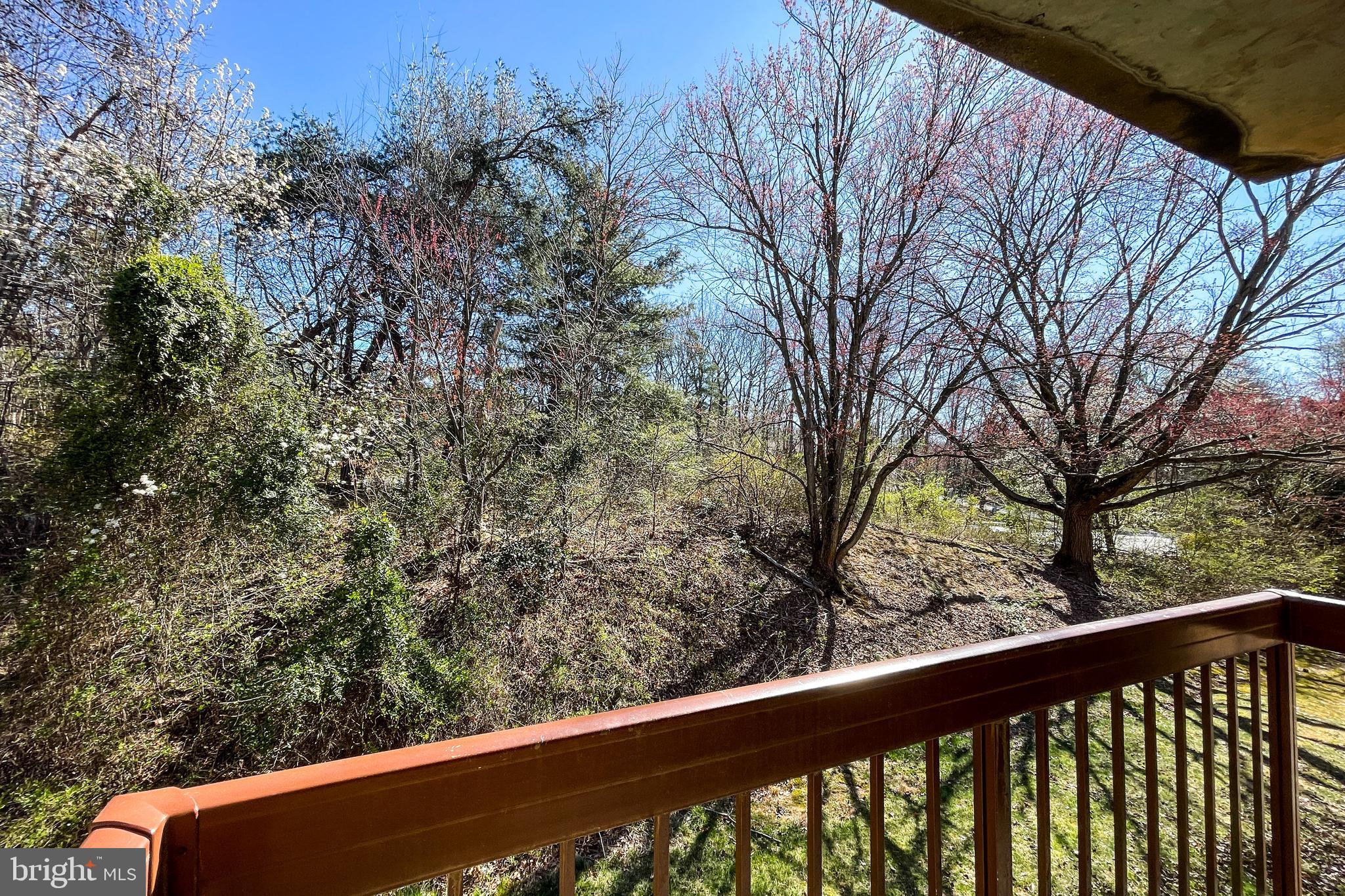 SHADOWOOD - Residential