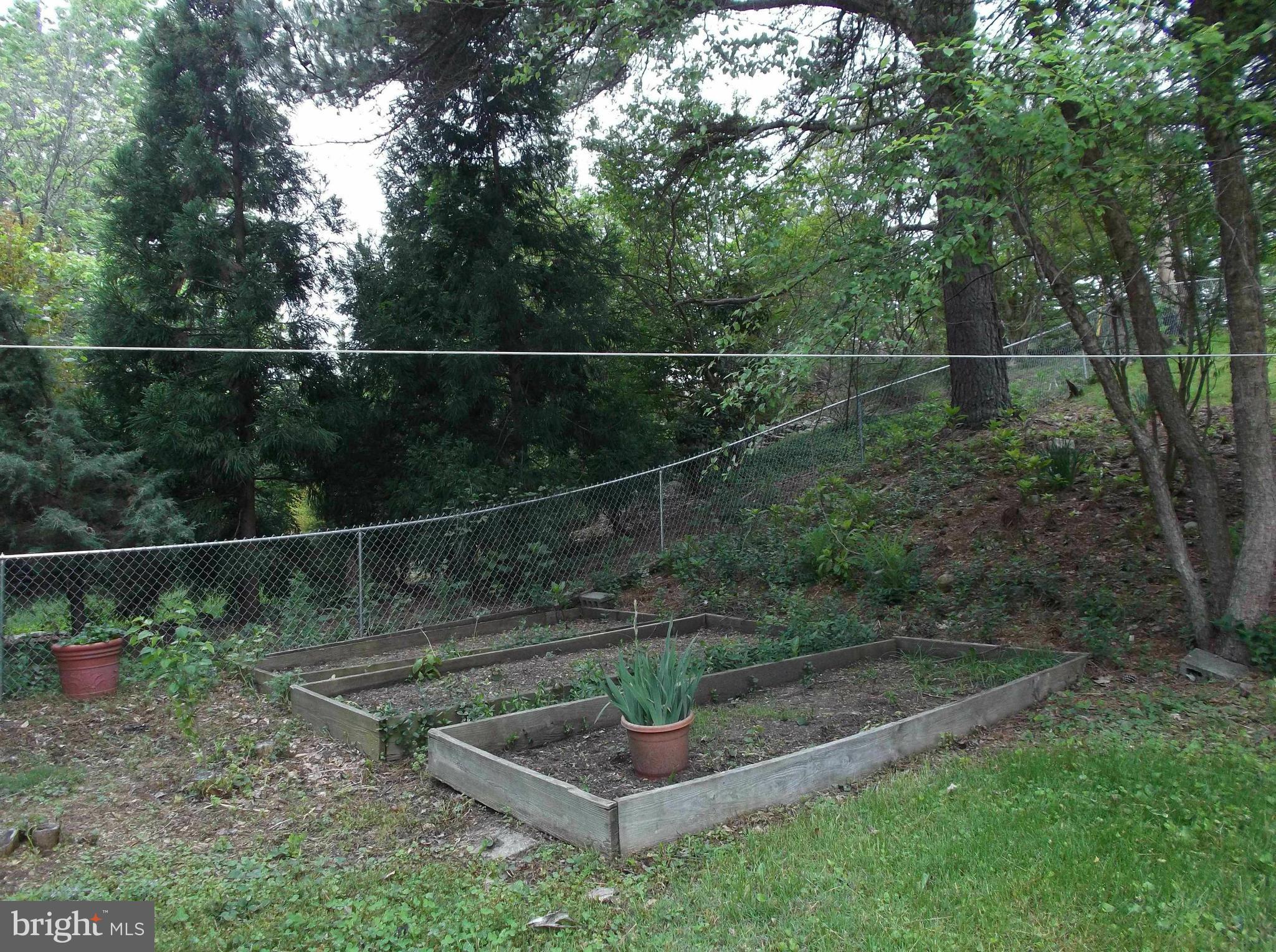 BUCKINGHAM AT BELAIR - Residential