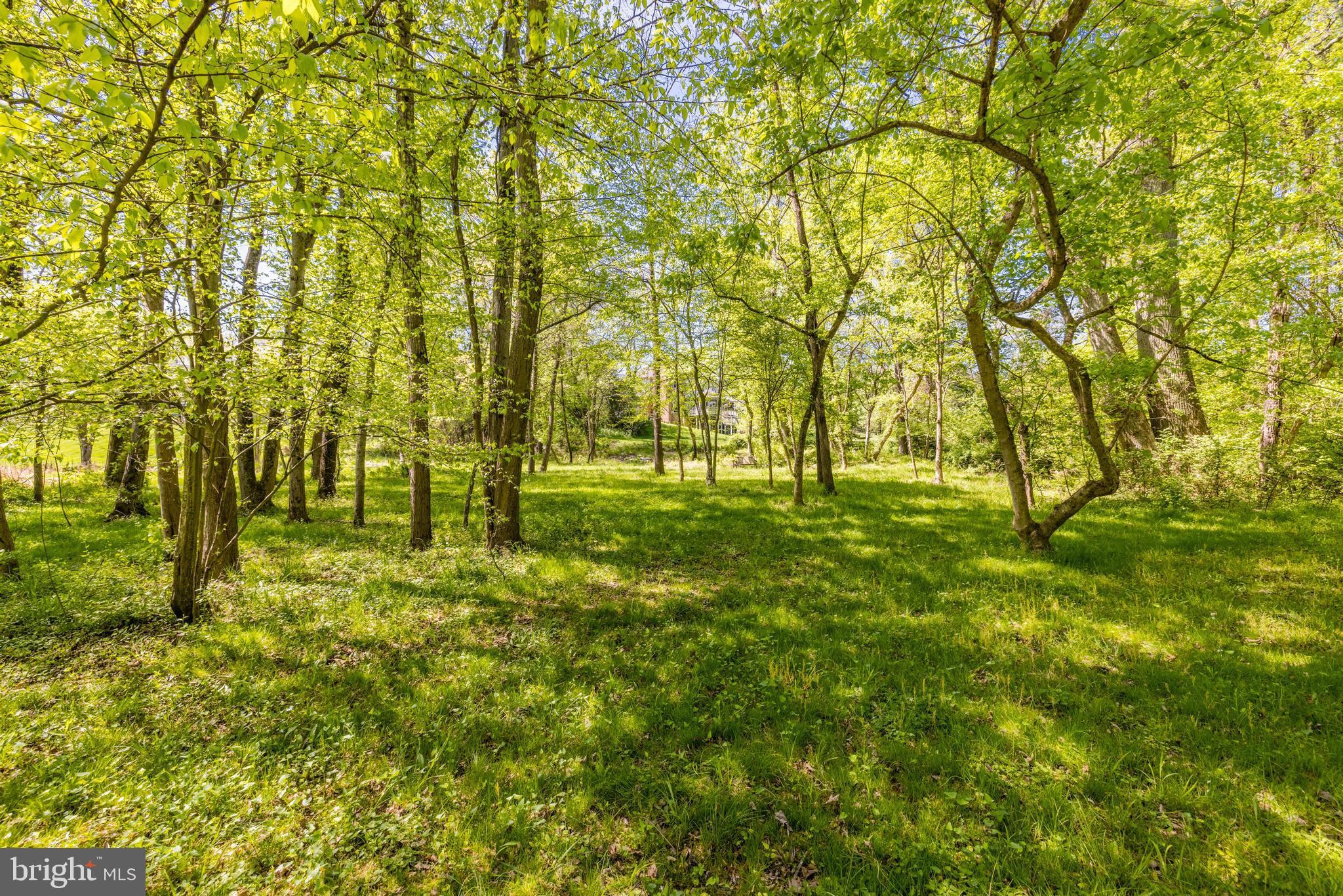 HICKORY CREEK ESTATES - Residential