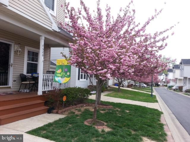 NEW COLONY VILLAGE - Residential