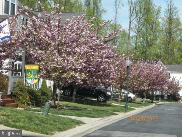 NEW COLONY VILLAGE - Residential