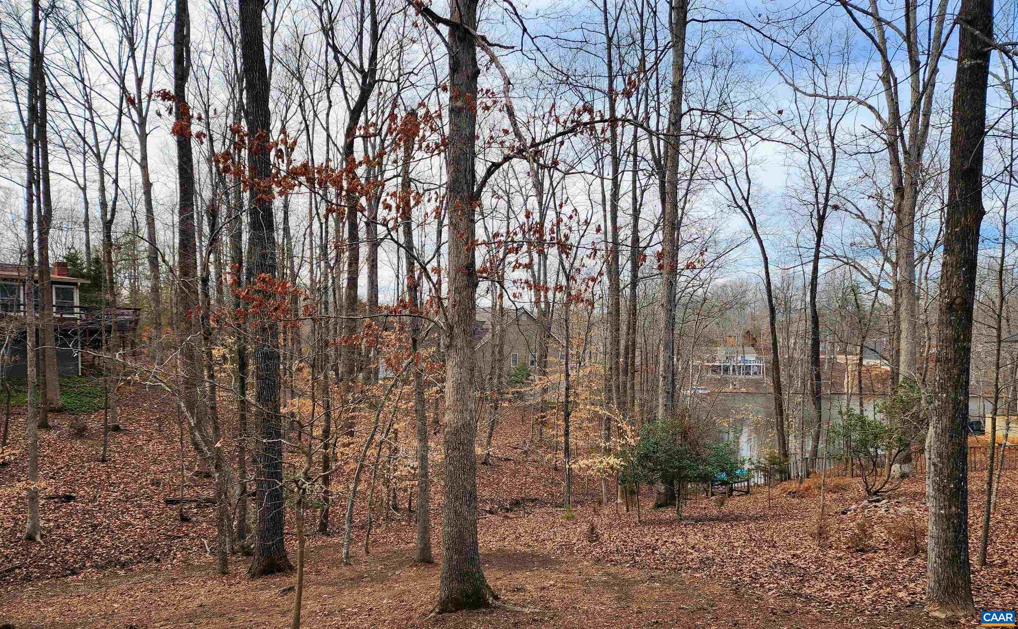 LAKE MONTICELLO - Residential