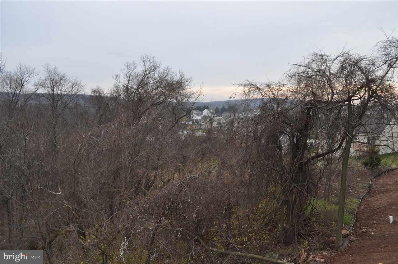 CHESTNUT VALLEY - Residential