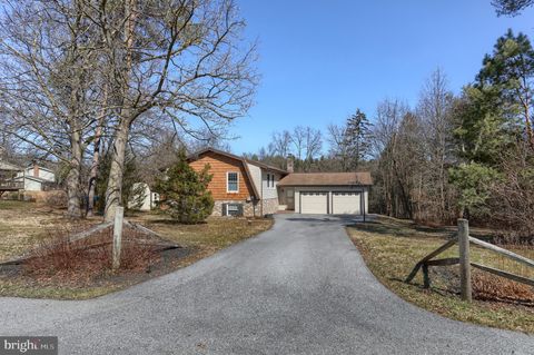 Homes For Sale - 224 Tannenbaum Way<br/> PALMYRA, PA 17078