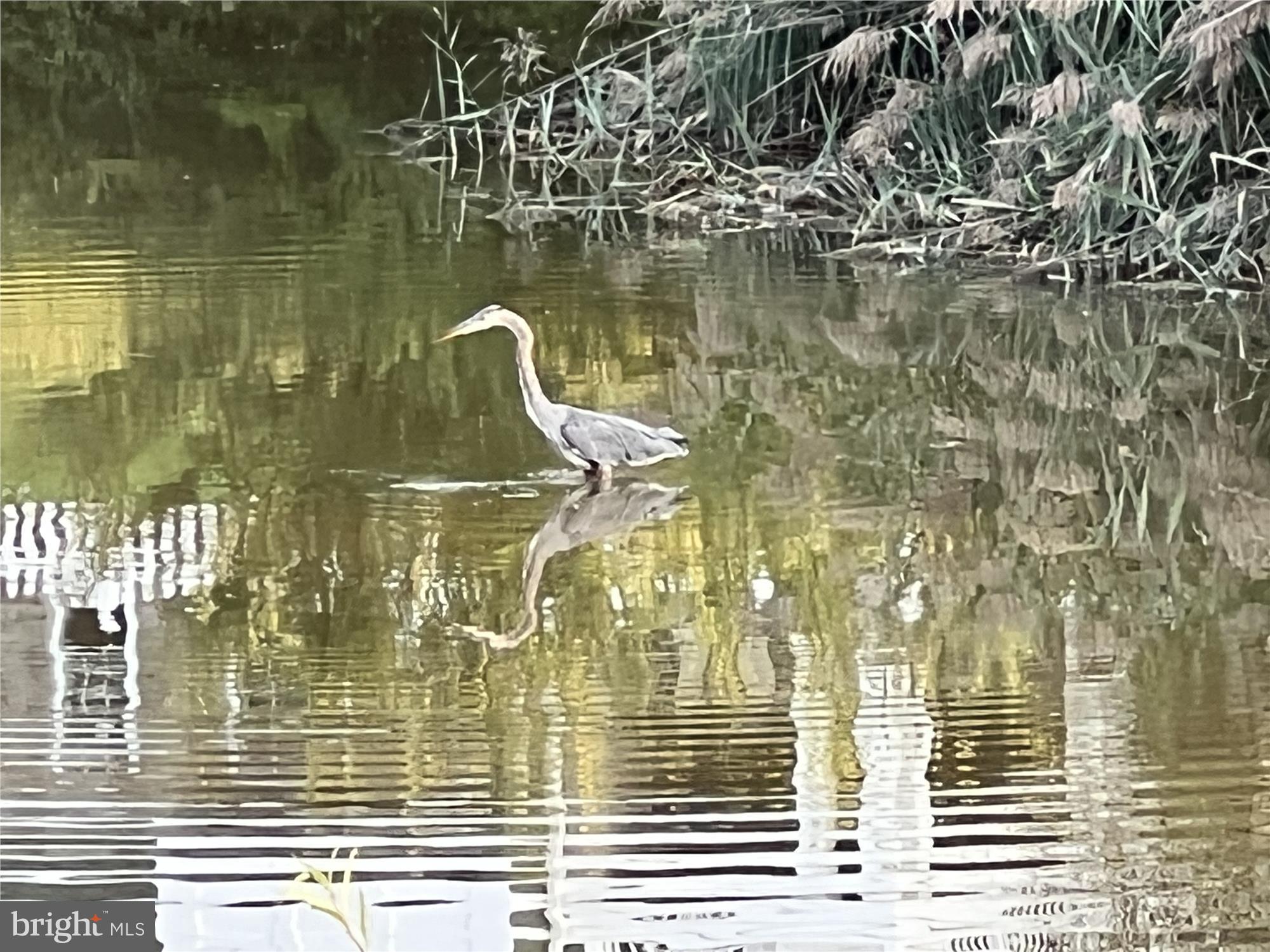 VICTORIA FALLS 2 - Residential