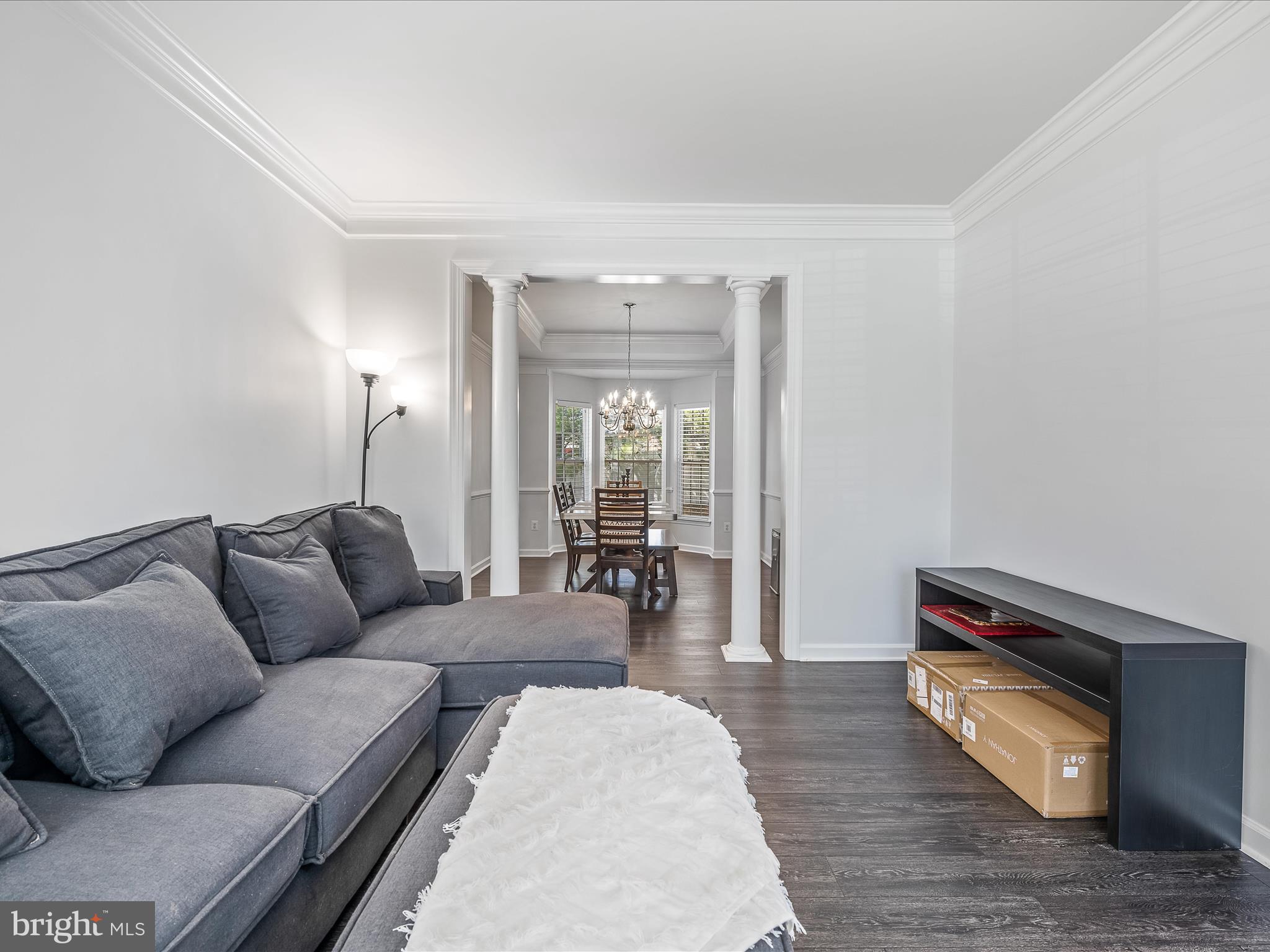 VILLAGE OF WASHINGTON TRAIL - Residential