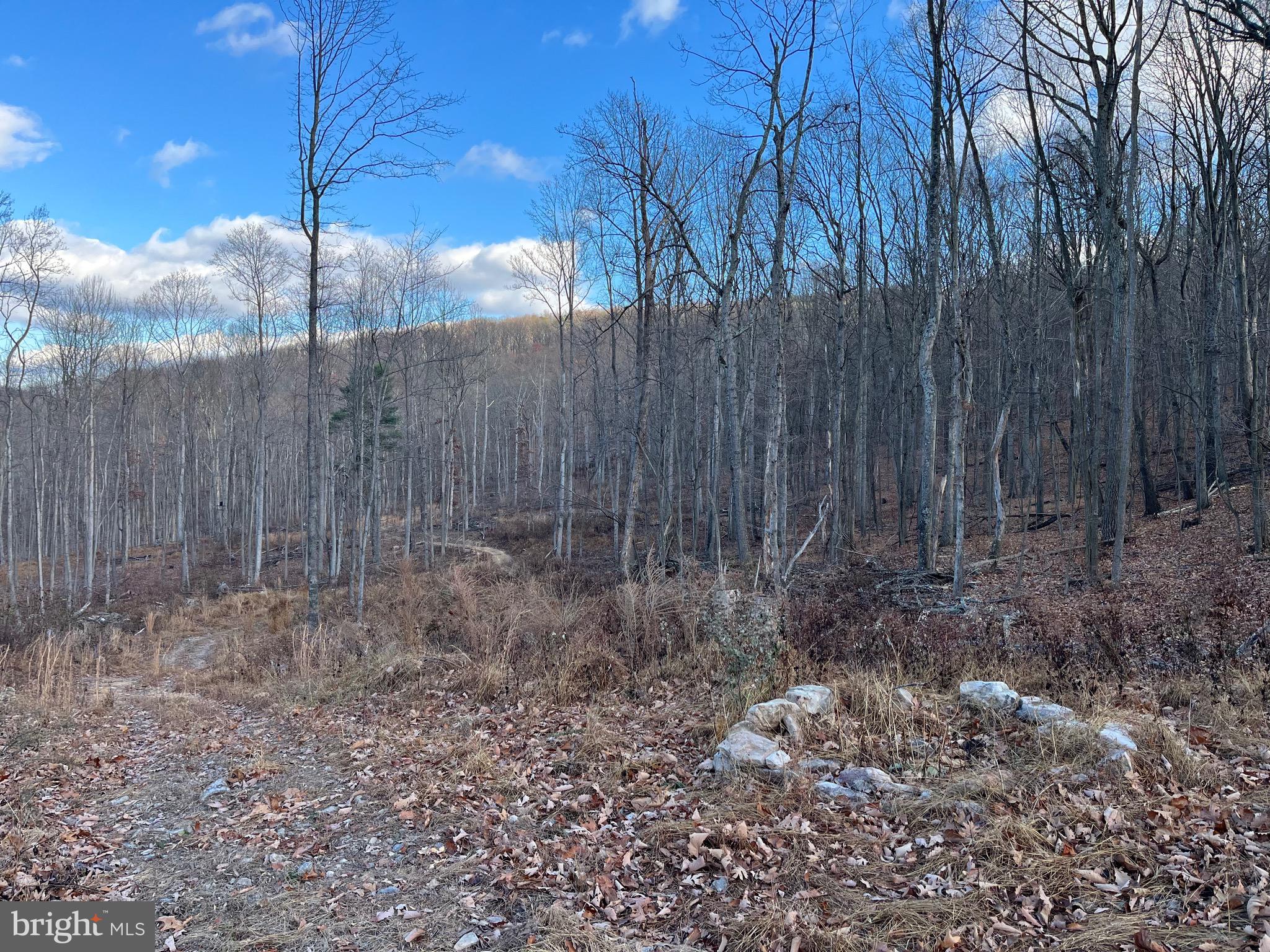 EAGLE MOUNTAIN - Land