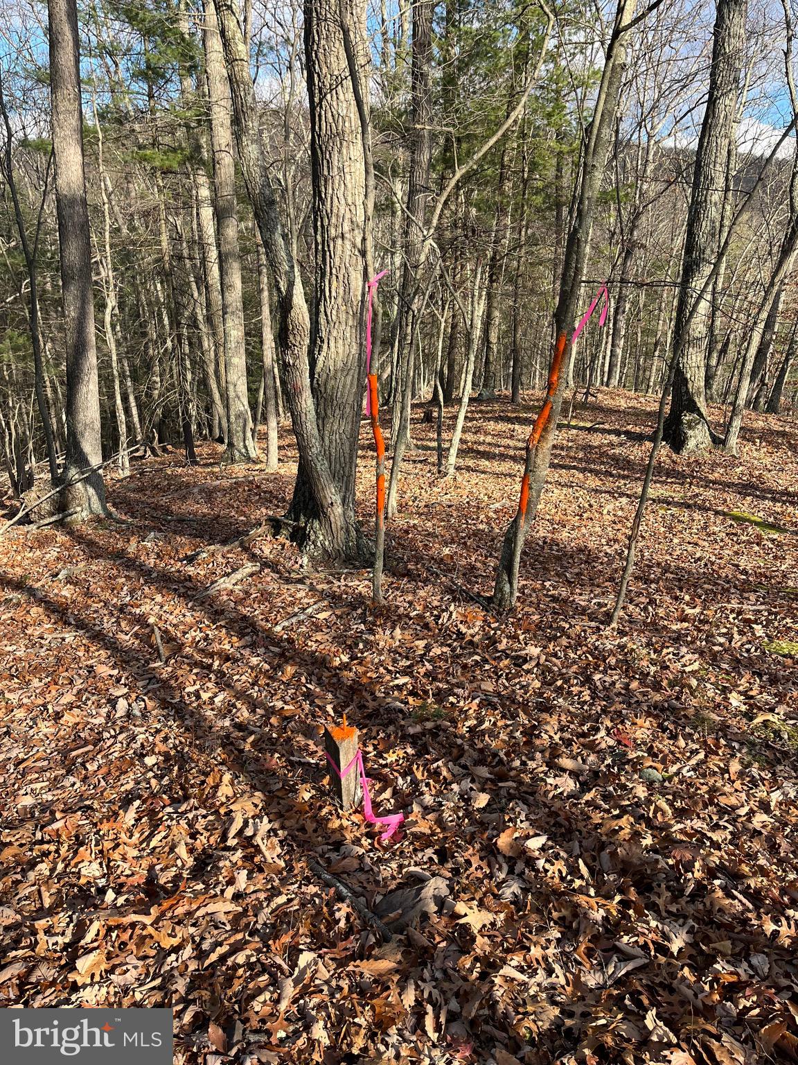 EAGLE MOUNTAIN - Land