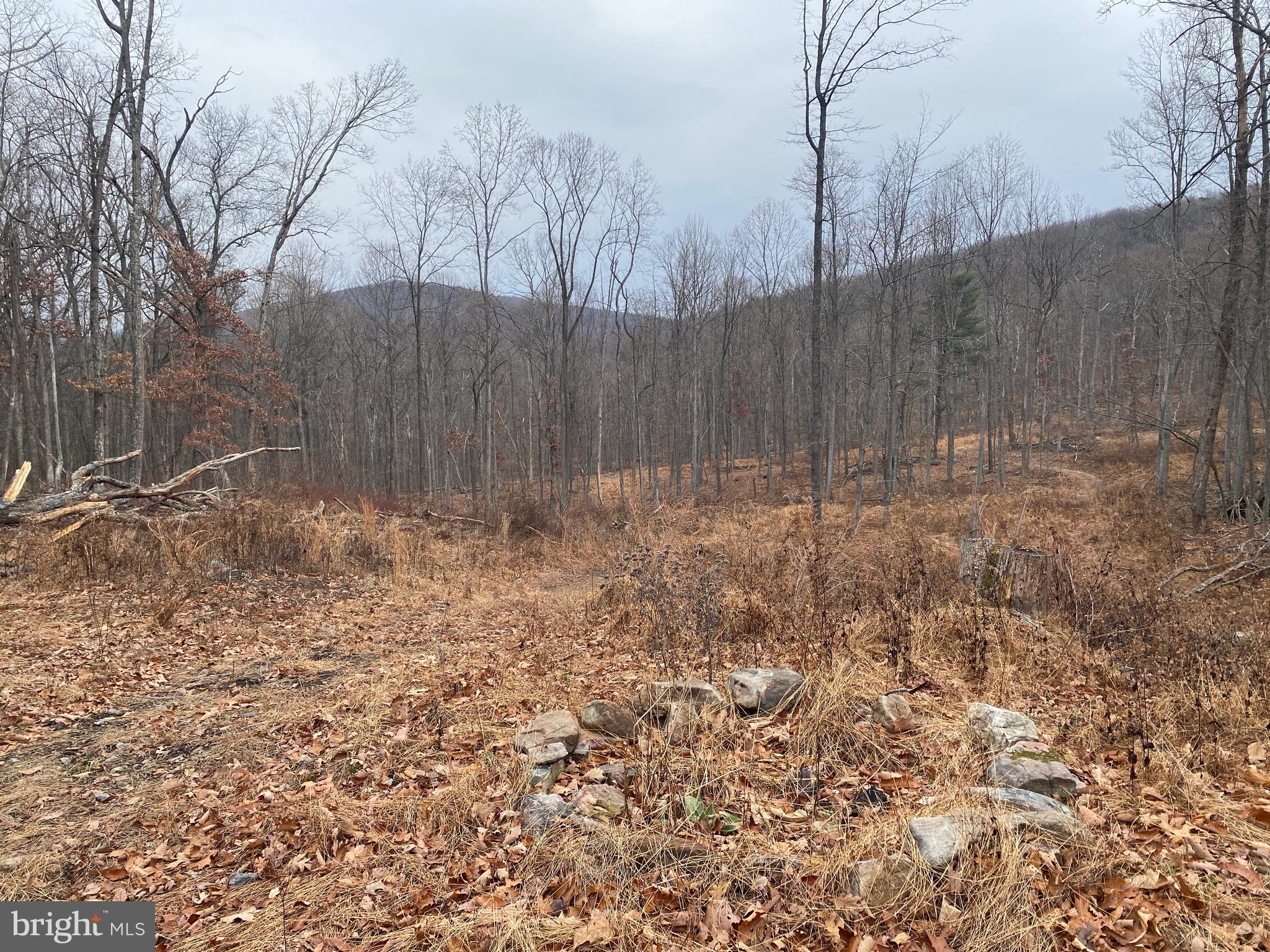 EAGLE MOUNTAIN - Land