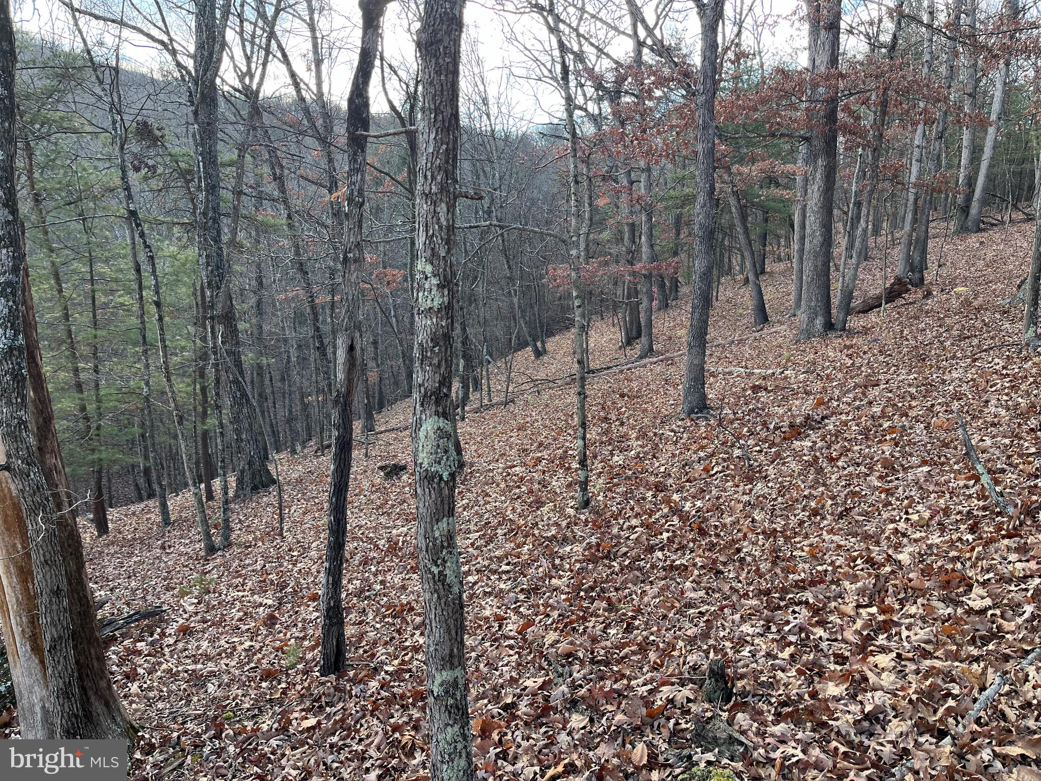 EAGLE MOUNTAIN - Land