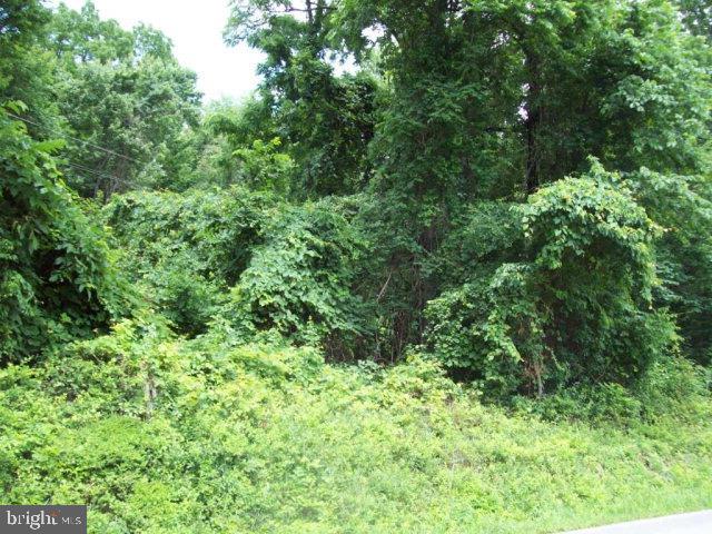 7.2 acres mostly wooded. Approx. 7.41' of road frontage. Great stop to build your new home. Call for details. No Perc.