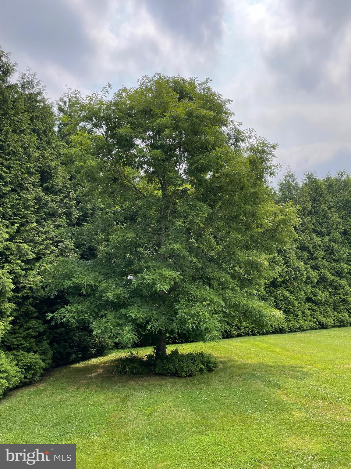 HOPELANDS - Residential