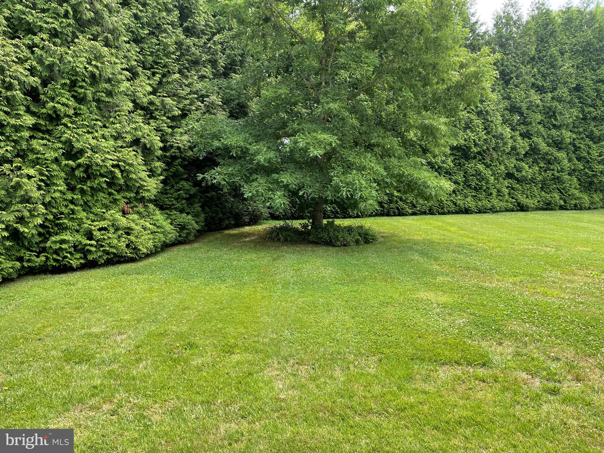 HOPELANDS - Residential