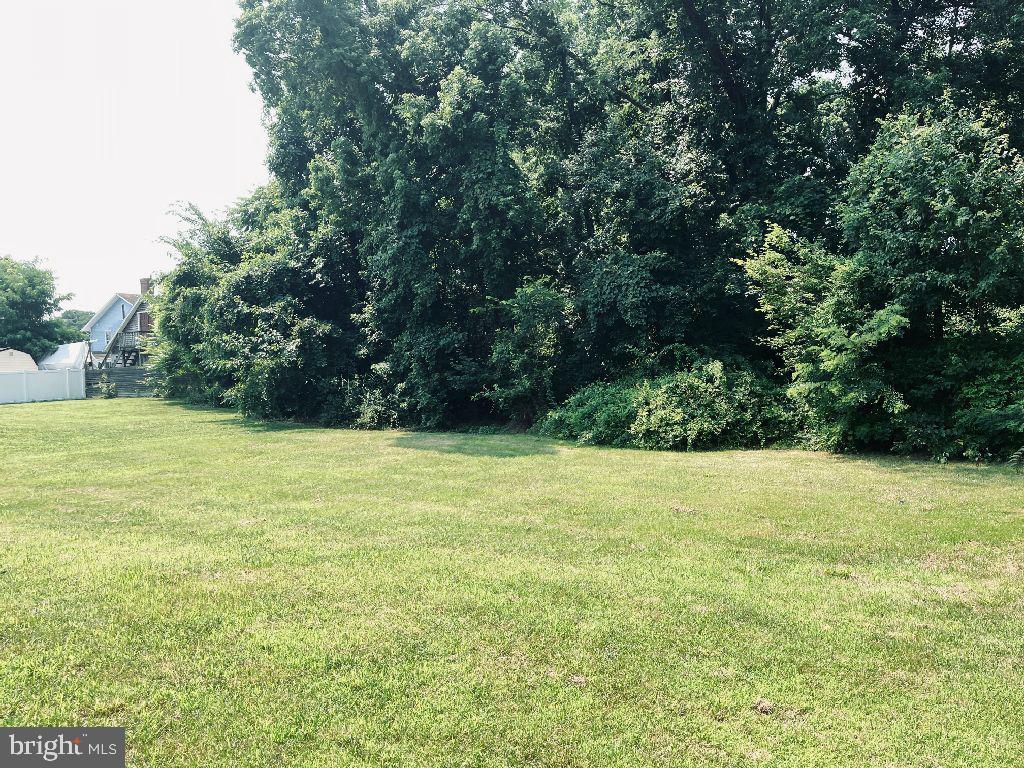 WALNUT POINT - Residential