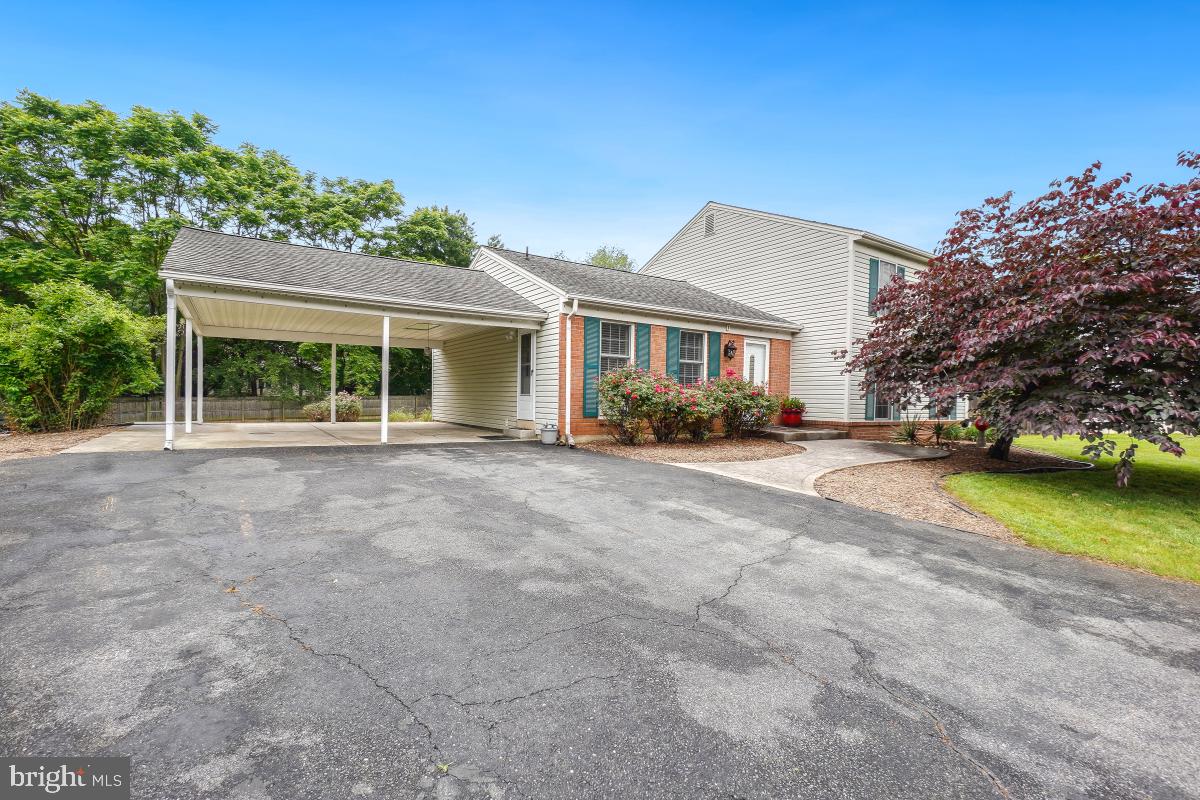 13 GELDING COURT