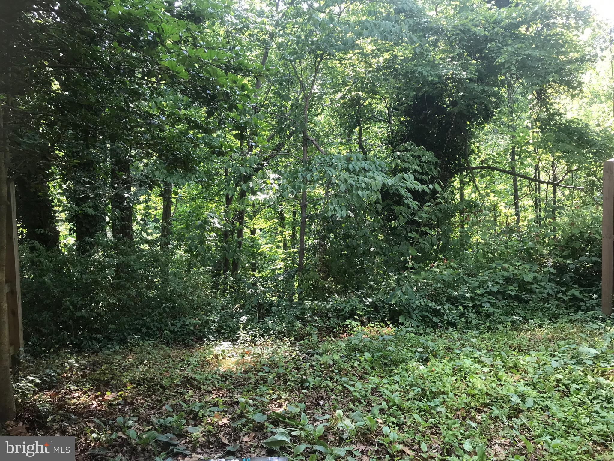 NEWINGTON STATION - Residential