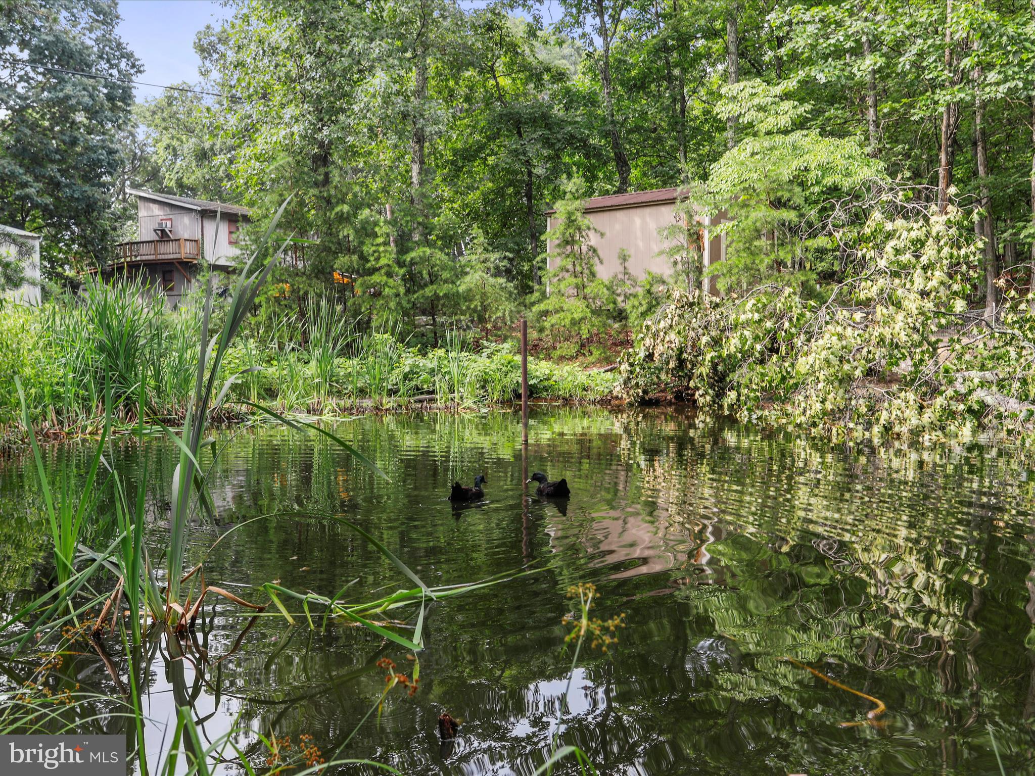 LOT 28 ISLAND RIDGE ROAD