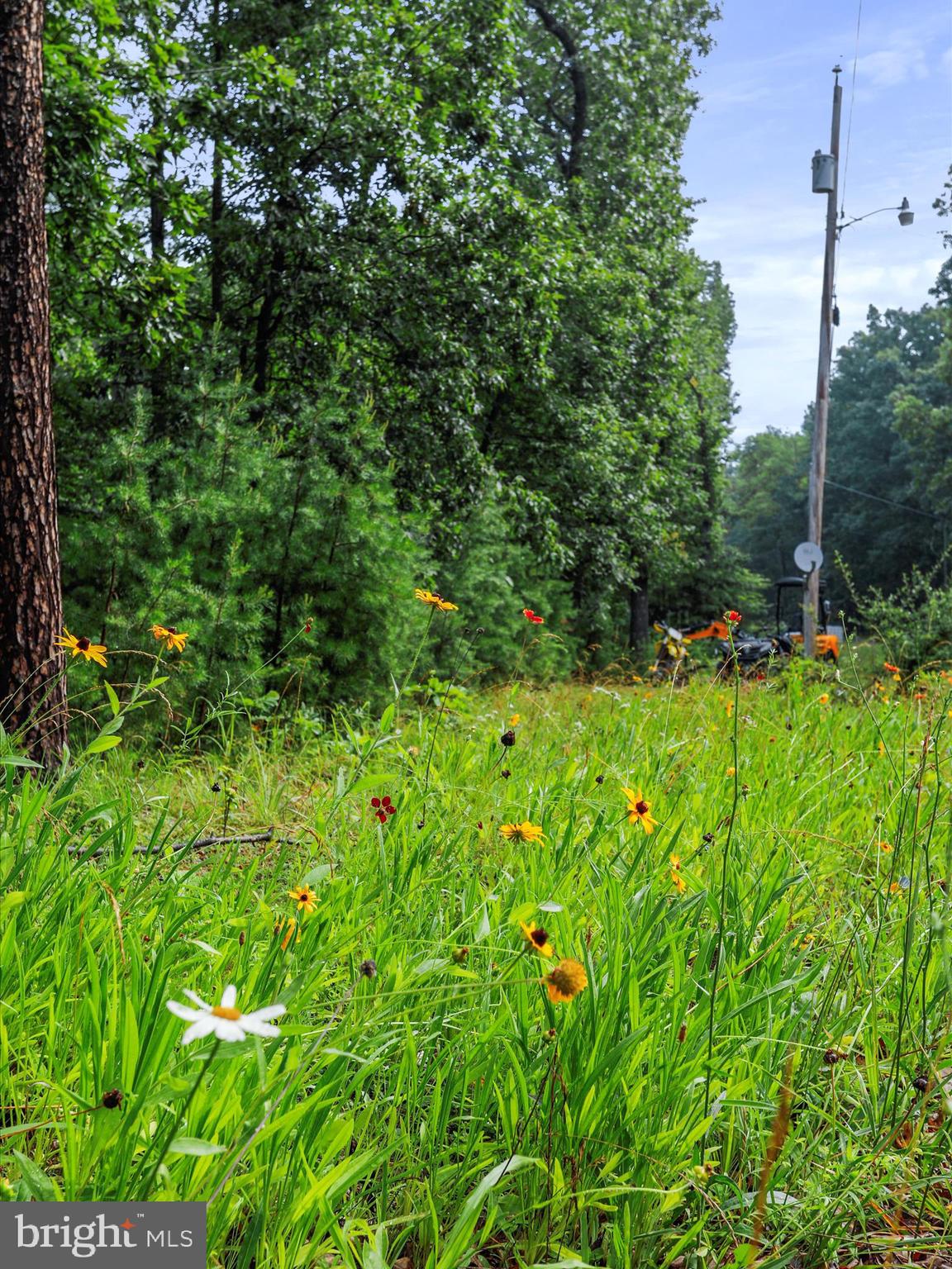LOT 28 ISLAND RIDGE ROAD