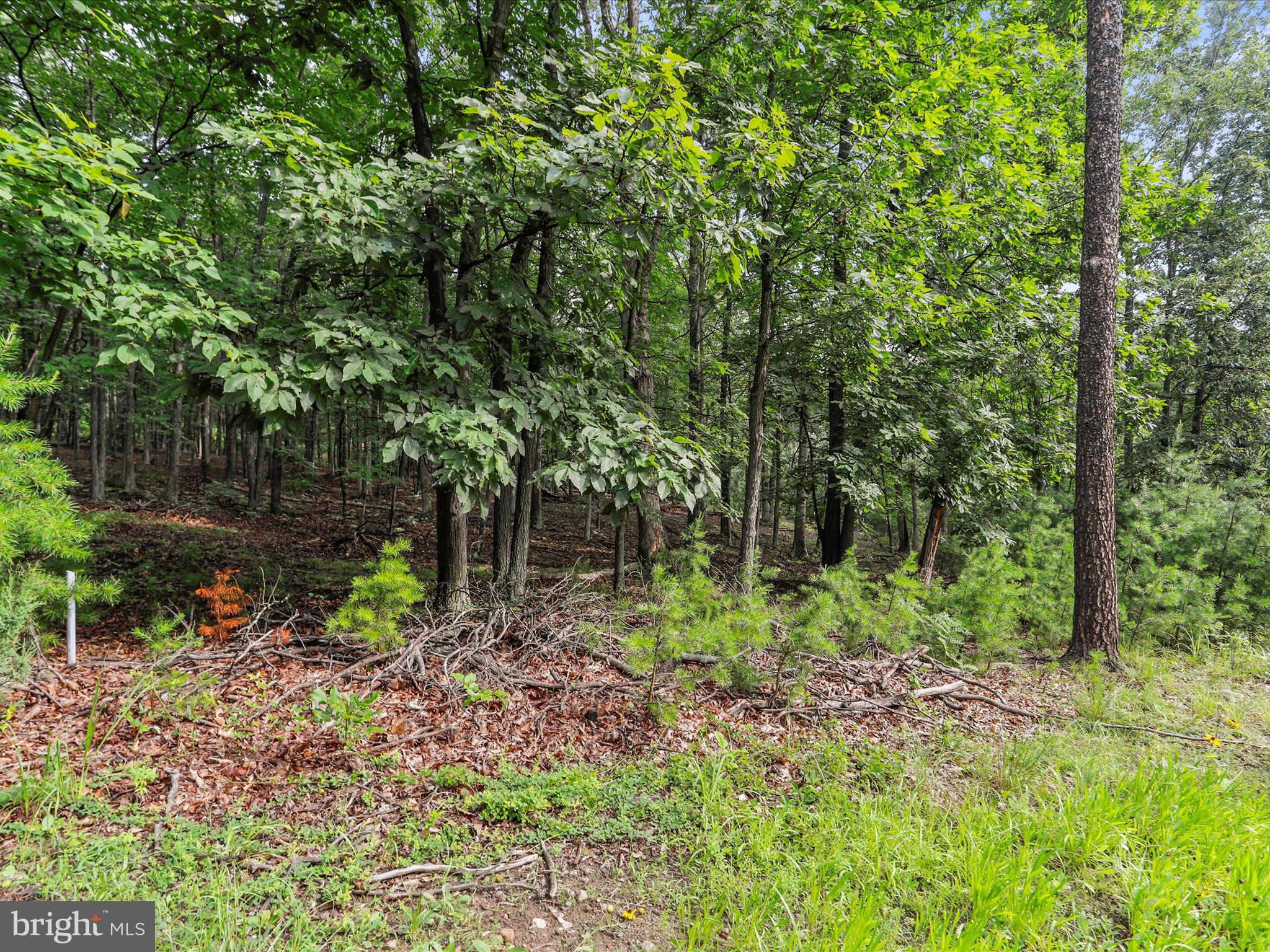 LOT 28 ISLAND RIDGE ROAD