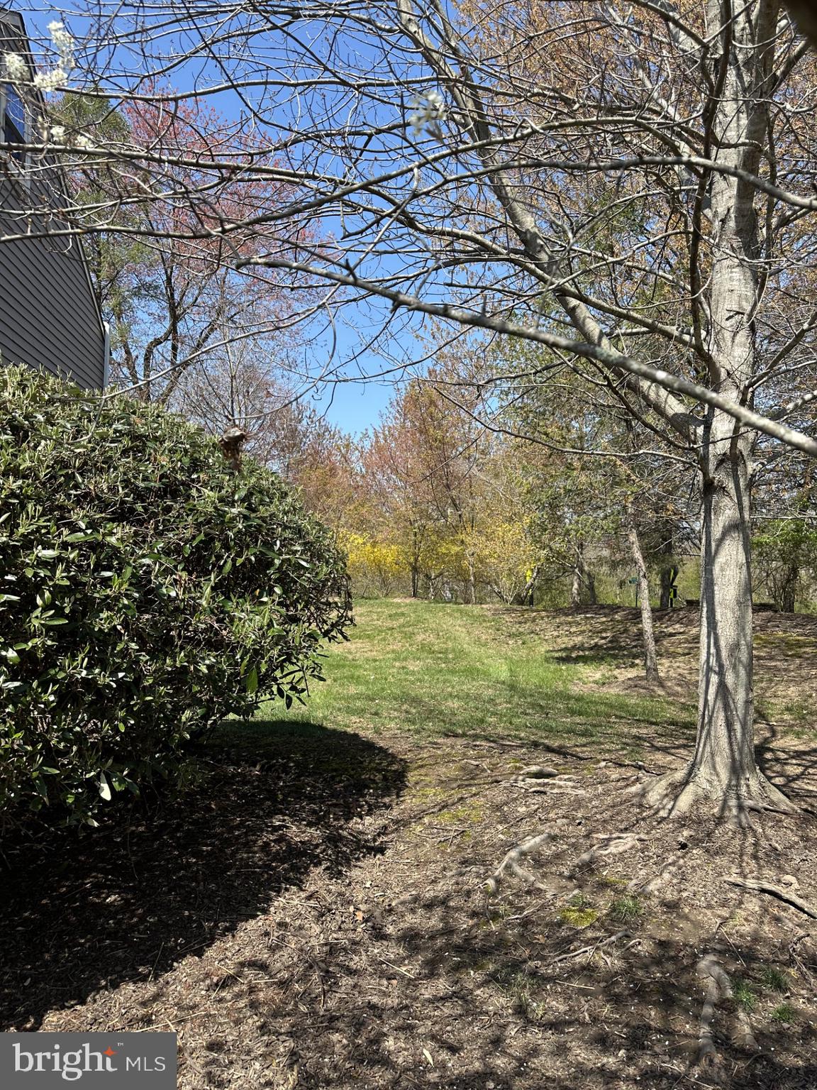 BLUE BELL WOODS - Residential