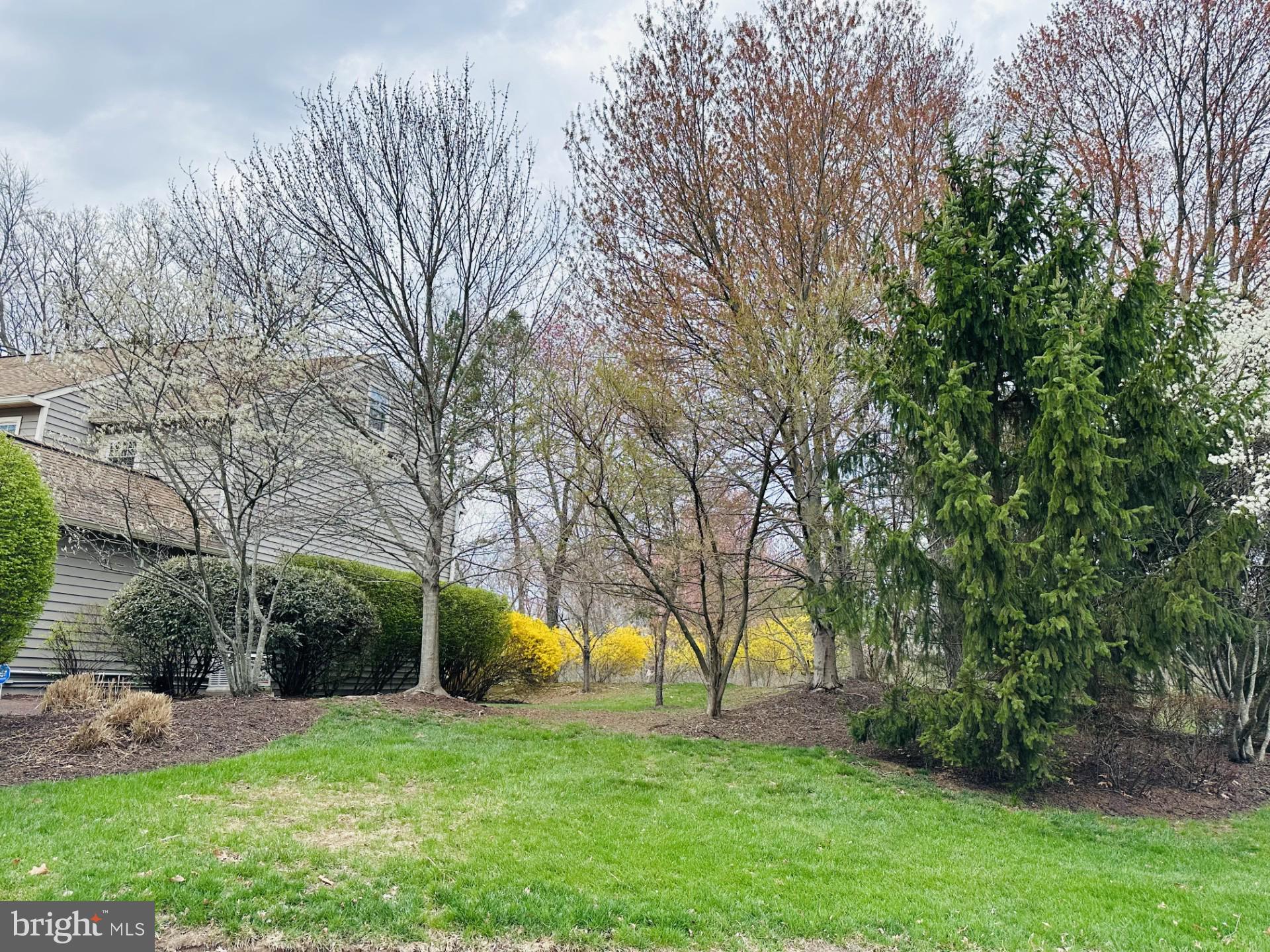 BLUE BELL WOODS - Residential