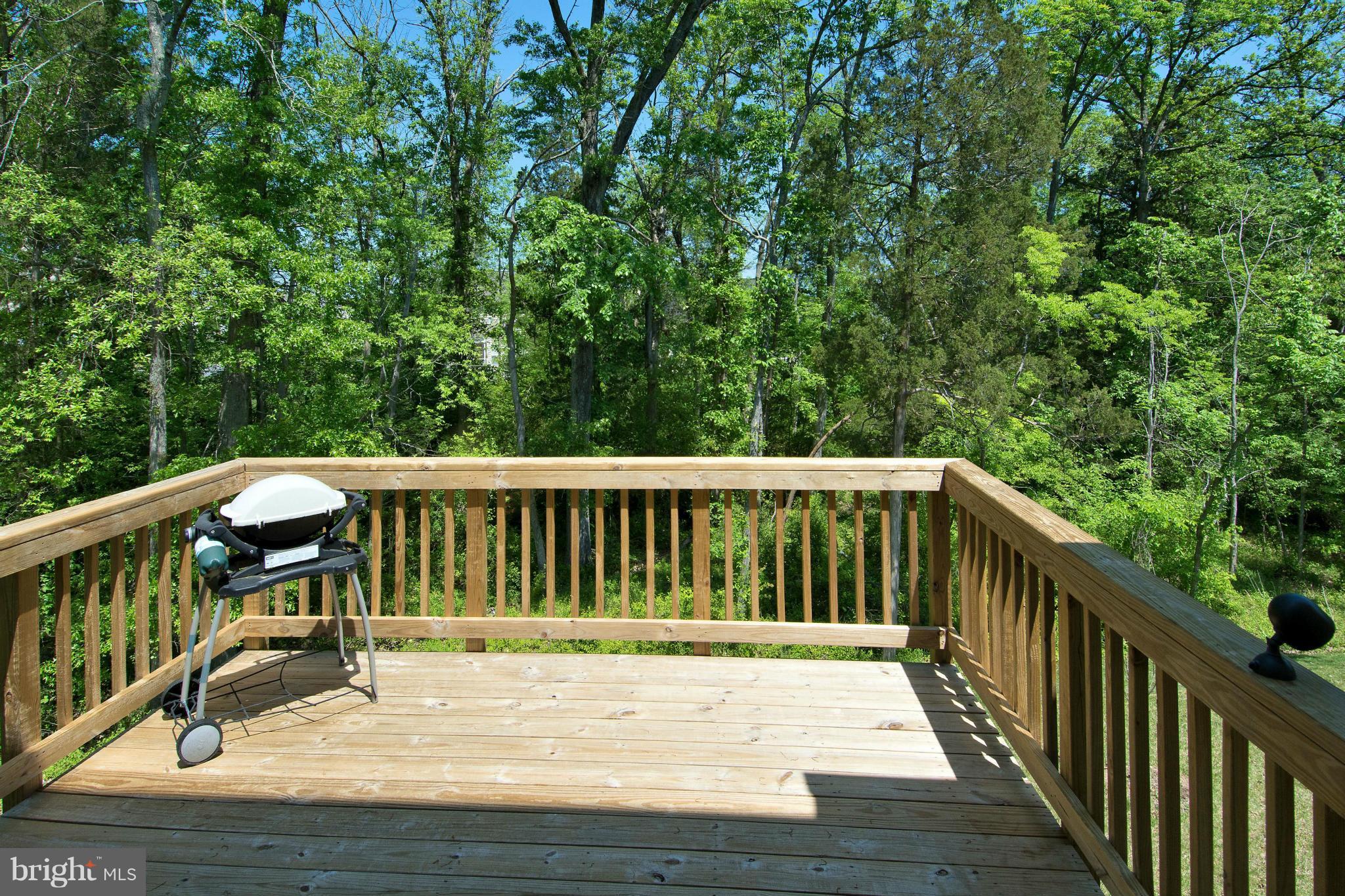 LANIER FARMS - Residential