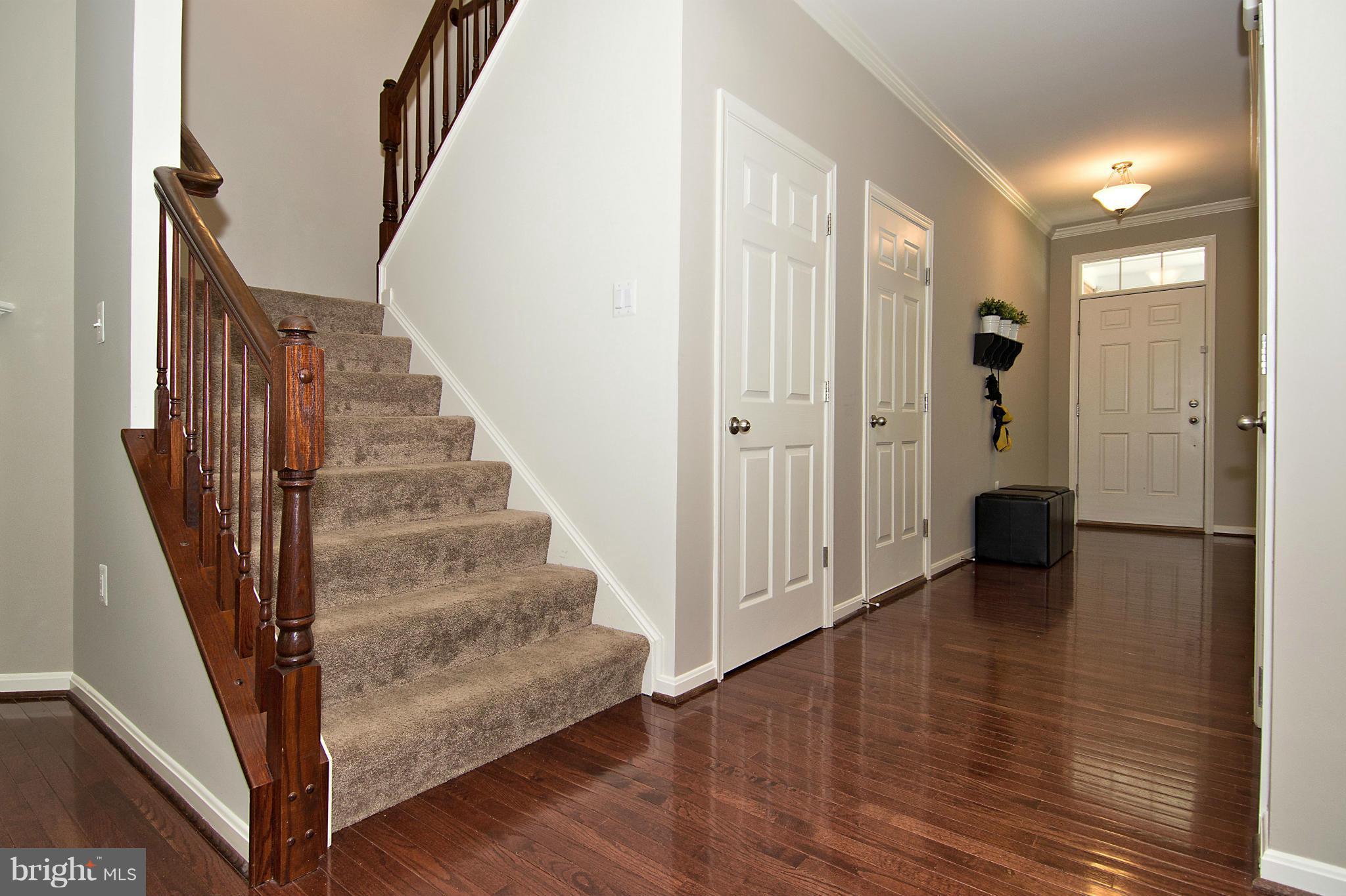 LANIER FARMS - Residential