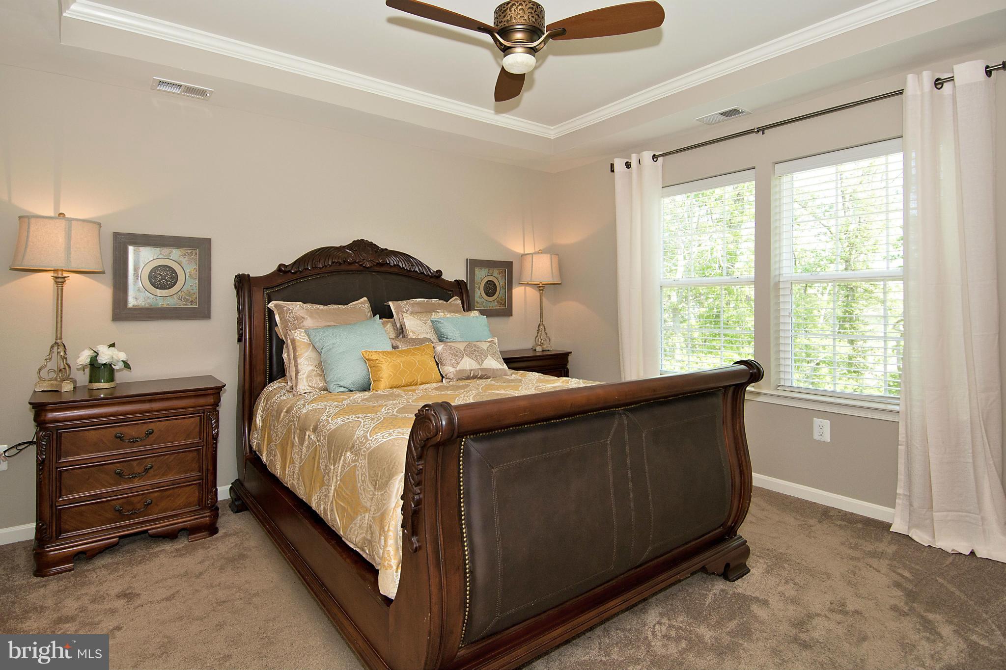 LANIER FARMS - Residential