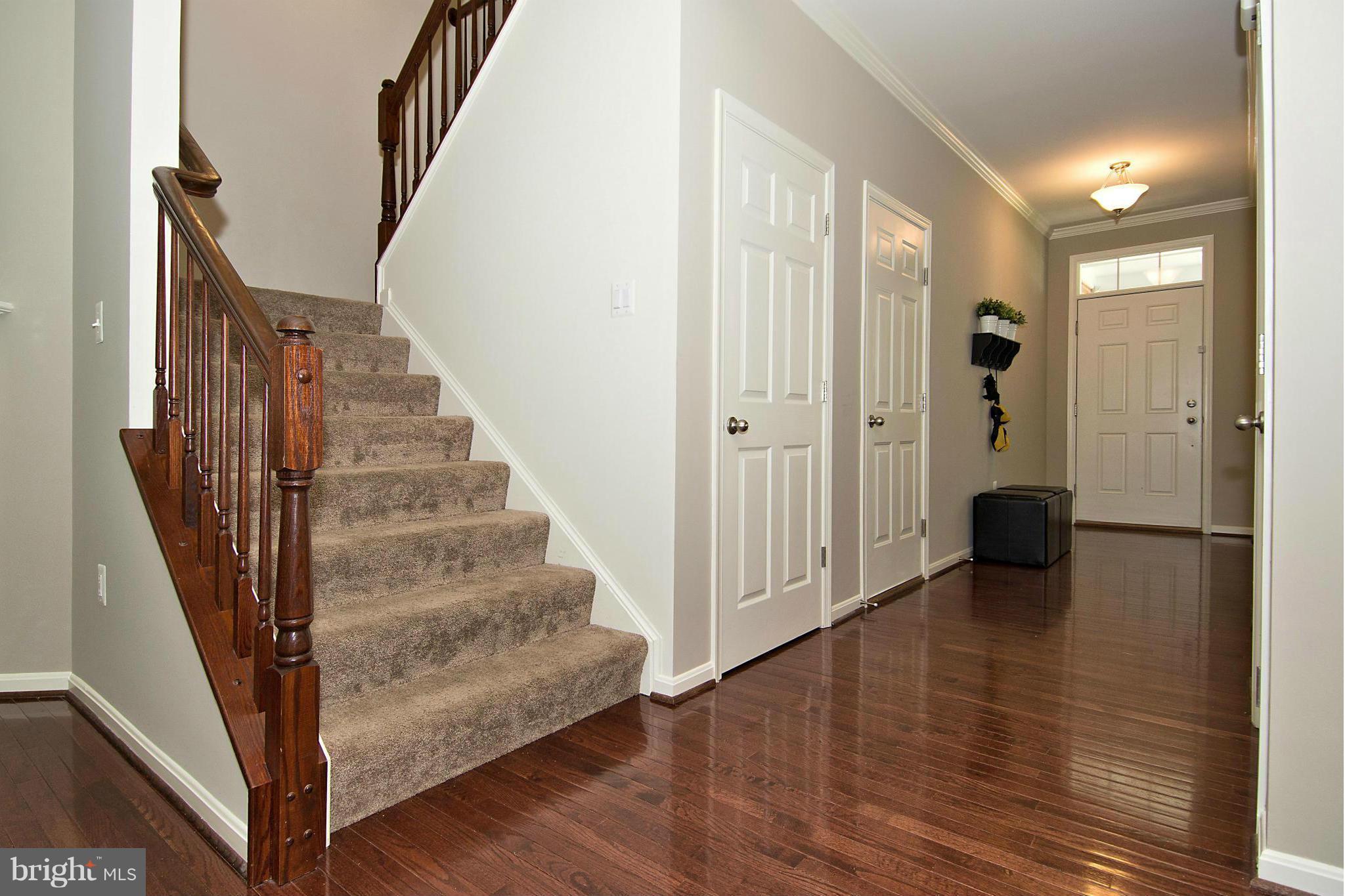 LANIER FARMS - Residential