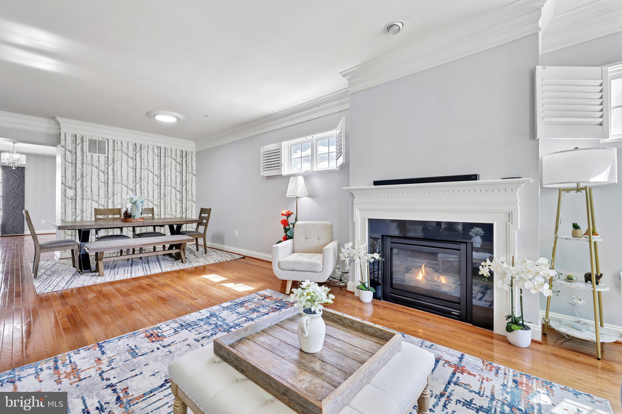 CLARKSBURG VILLAGE - Residential