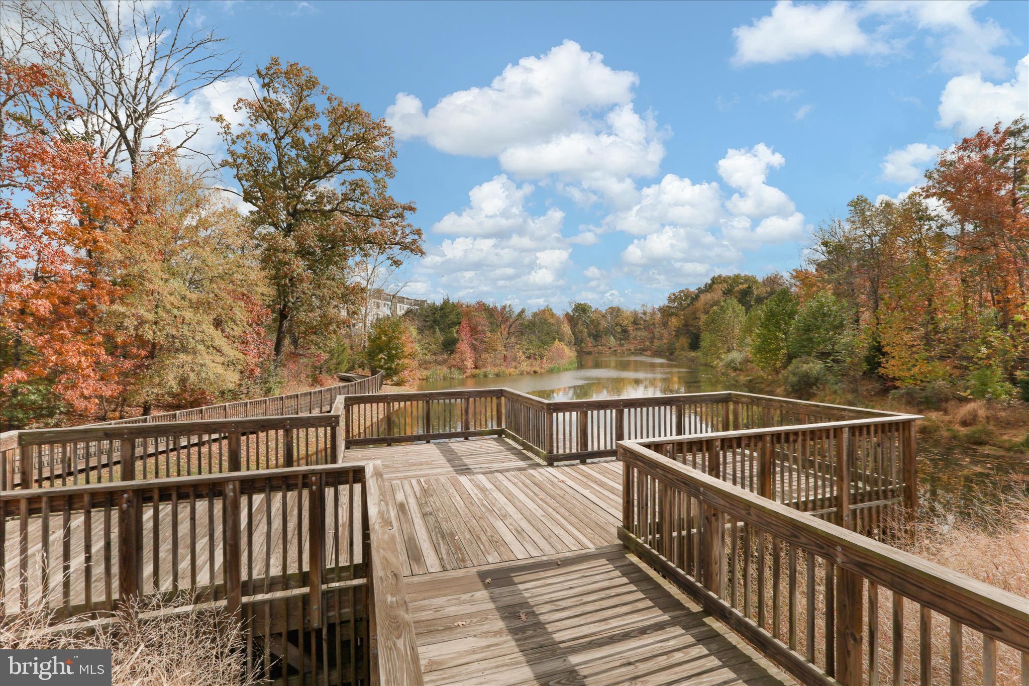 THE PRESERVE AT WESTFIELDS - Residential