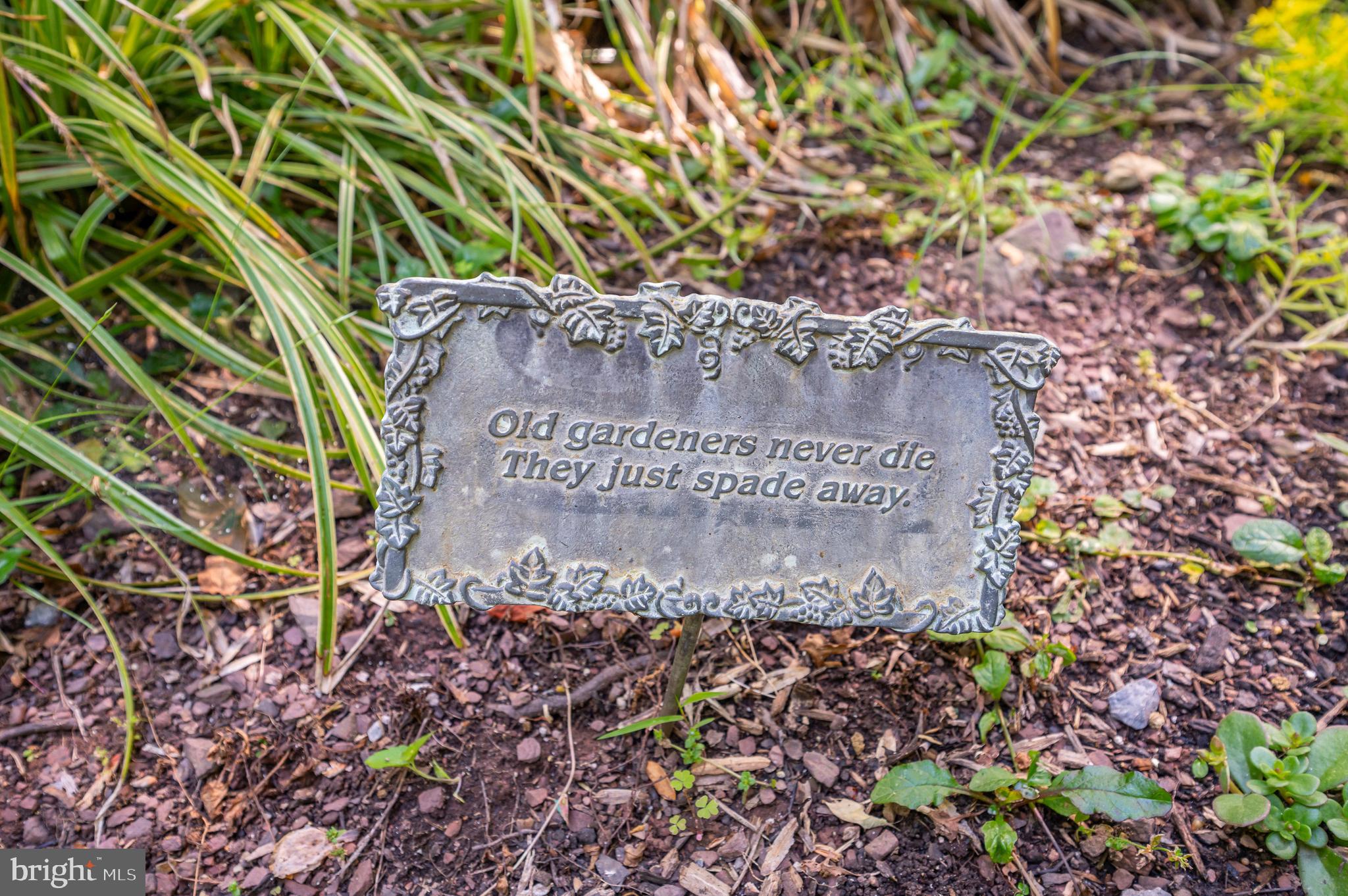 THE WOODS - Residential