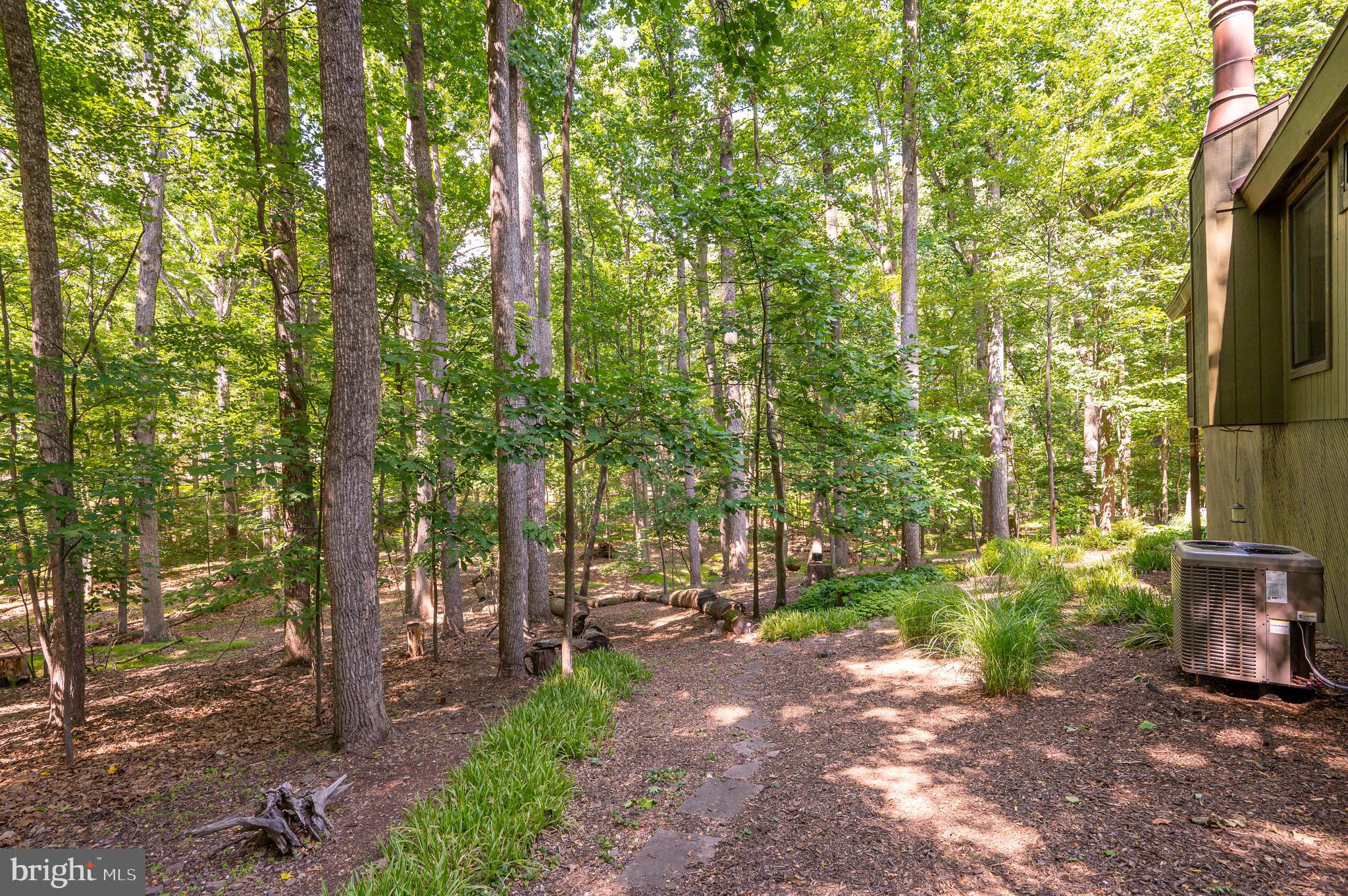 THE WOODS - Residential