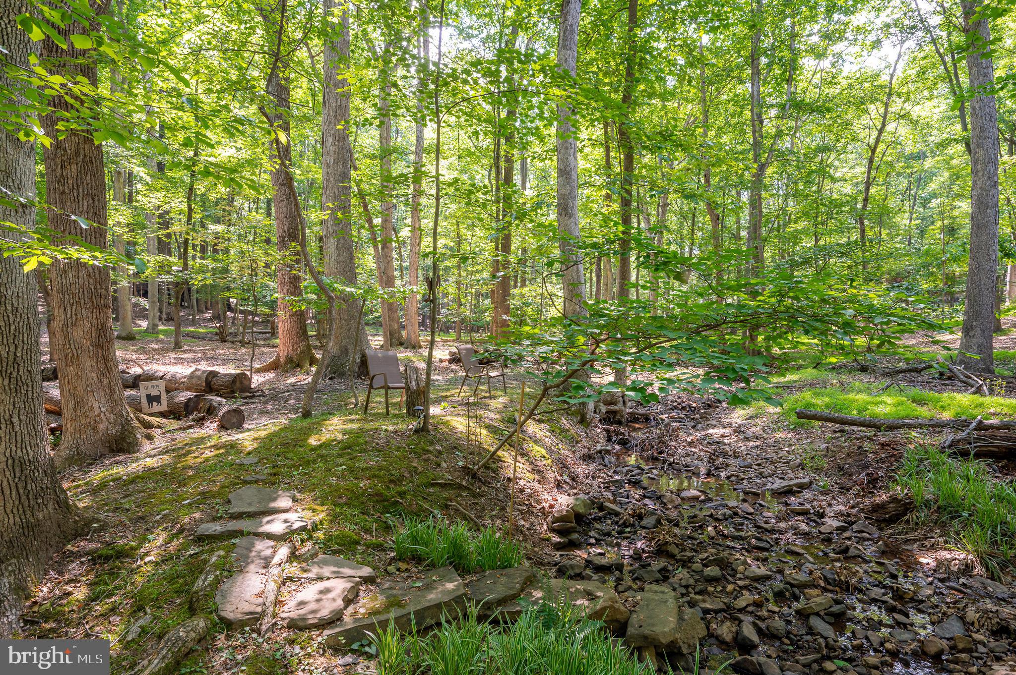 THE WOODS - Residential