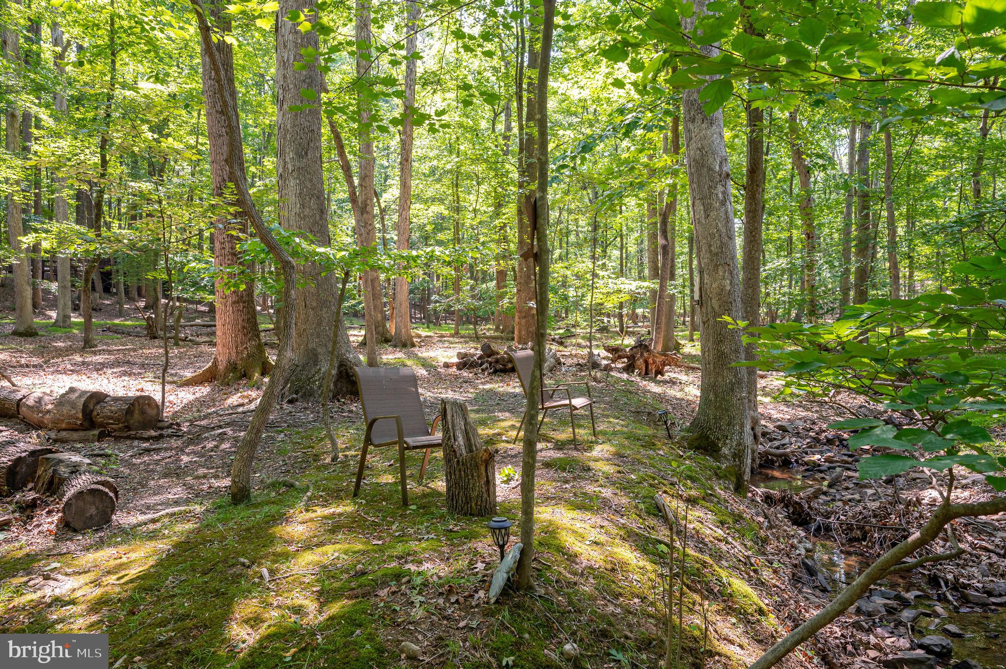 THE WOODS - Residential