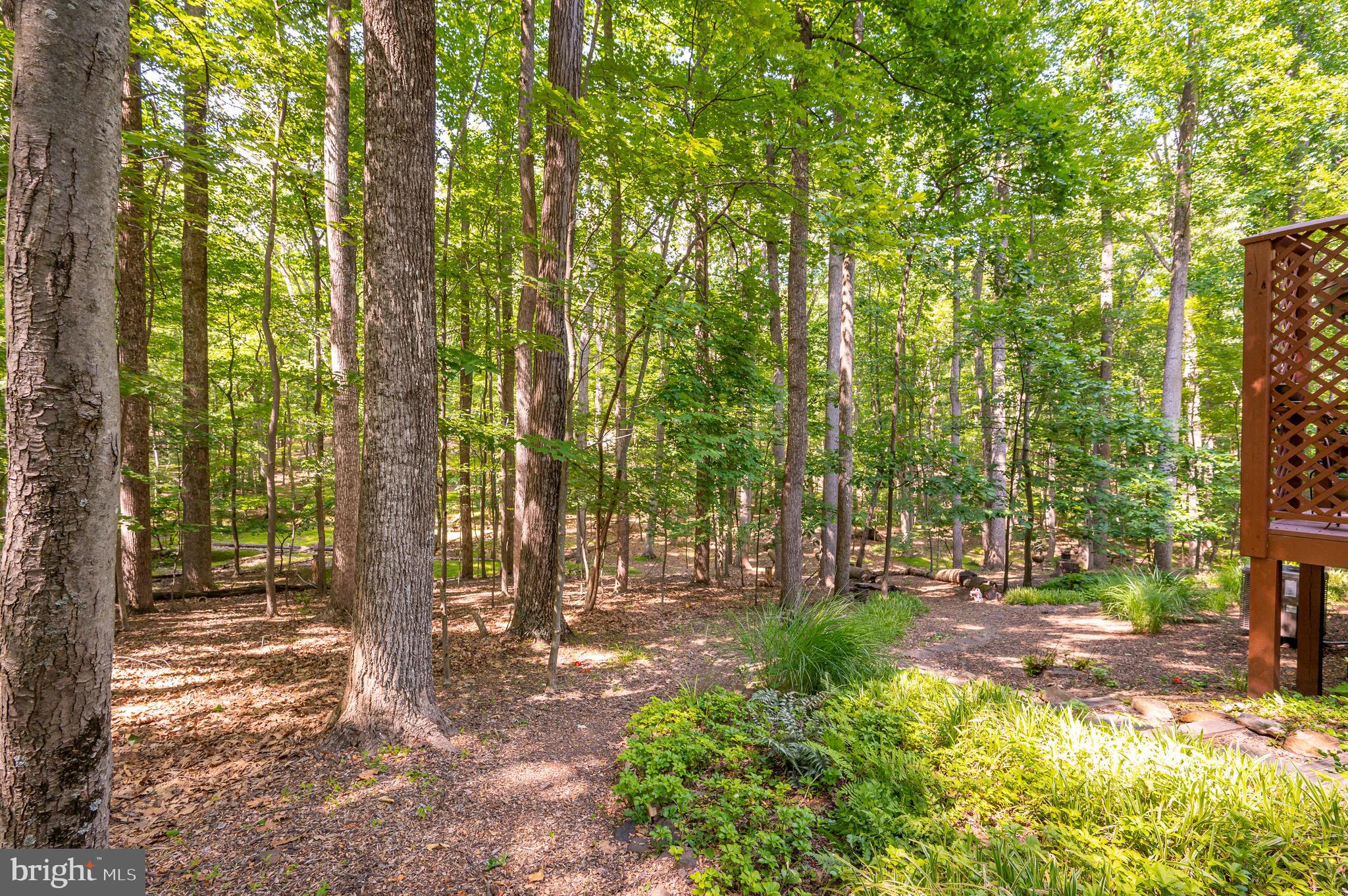 THE WOODS - Residential