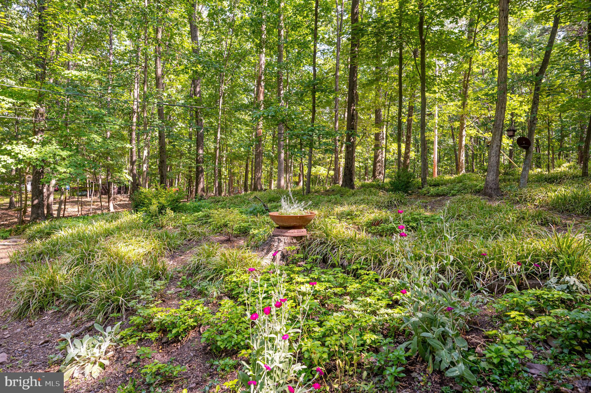 THE WOODS - Residential