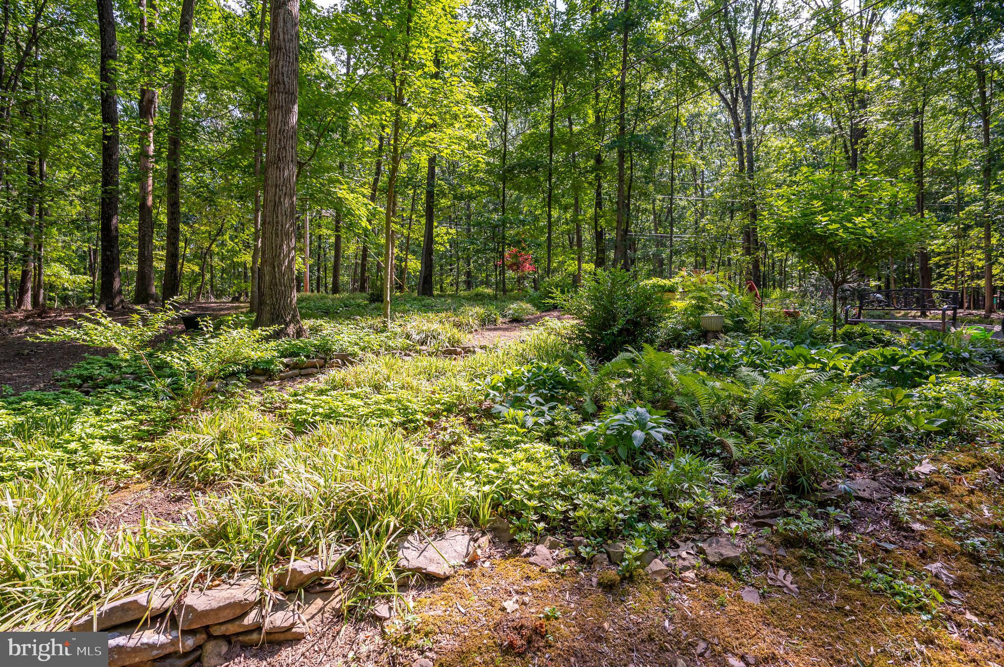 THE WOODS - Residential