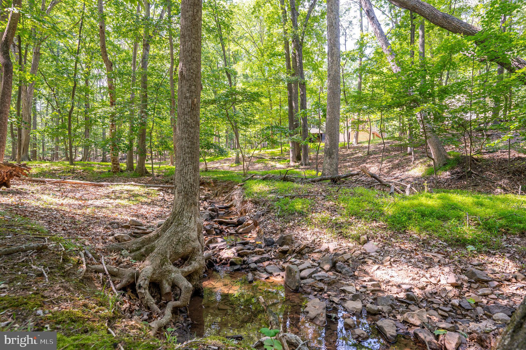 THE WOODS - Residential