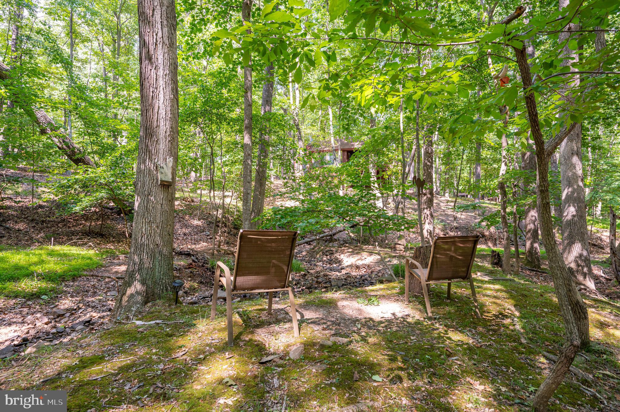 THE WOODS - Residential