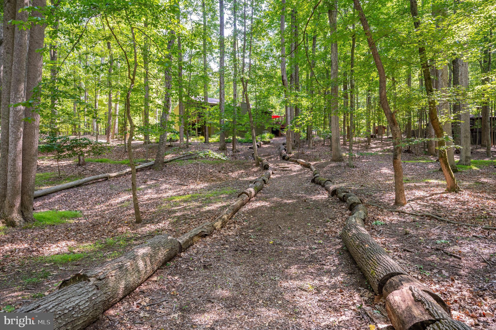 THE WOODS - Residential