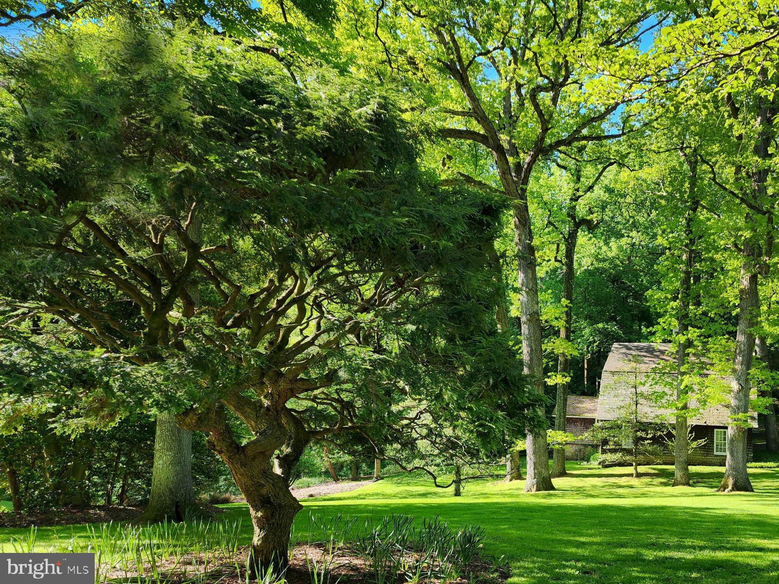 GREENSPRING VALLEY - Residential