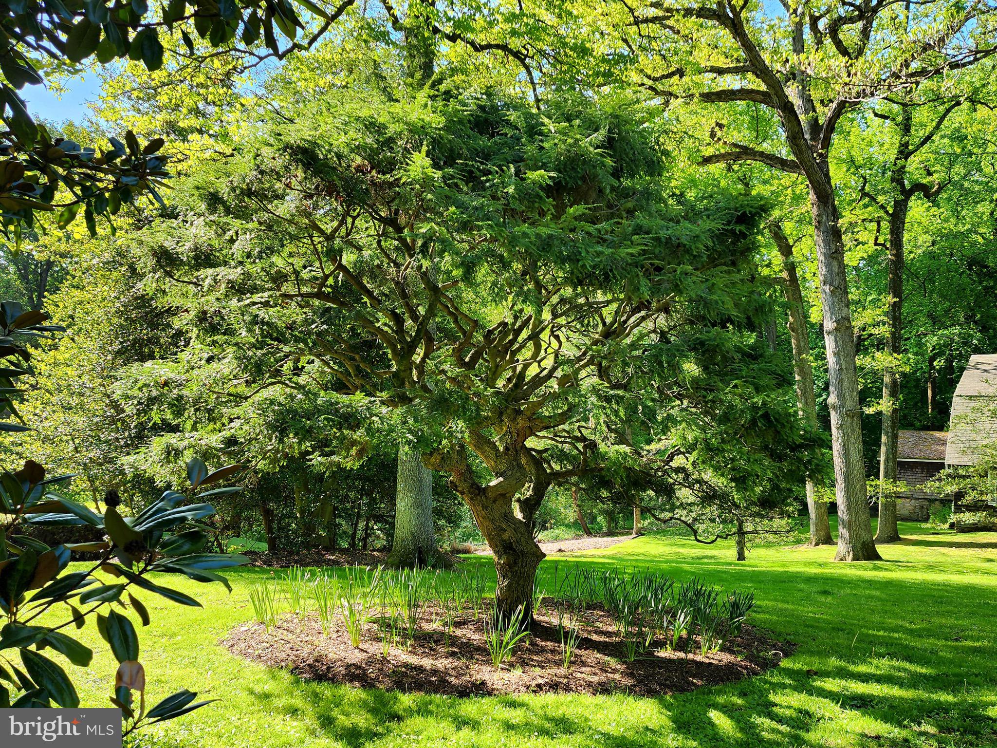 GREENSPRING VALLEY - Residential