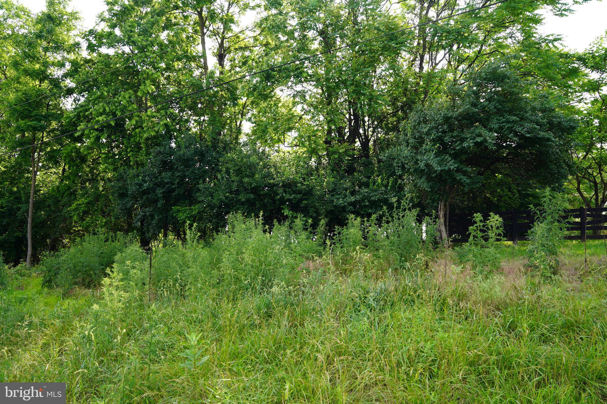 HAROLD DRIVE